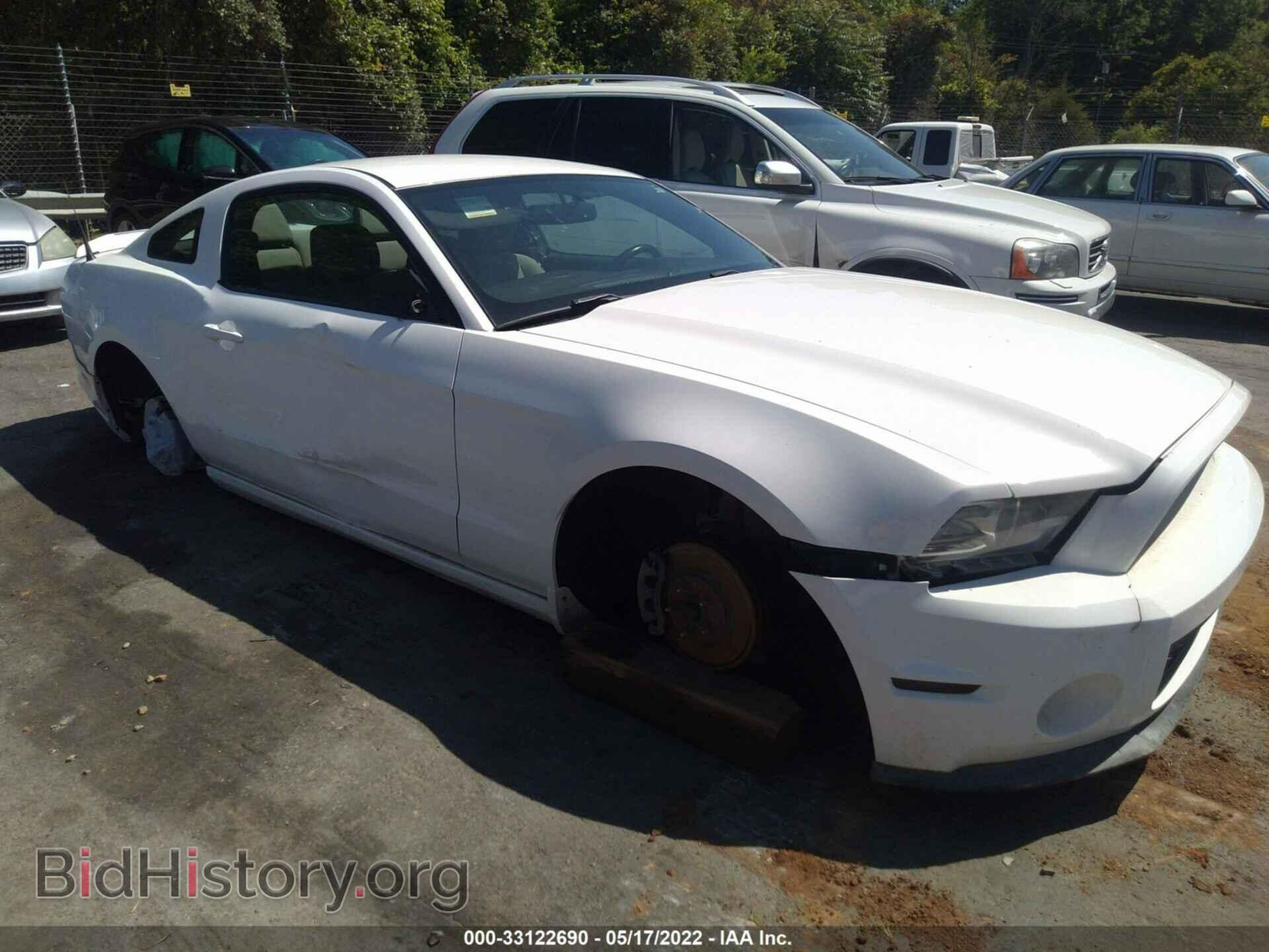 2013 FORD MUSTANG - VIN: 1ZVBP8AM9D5254168 - Фото 6