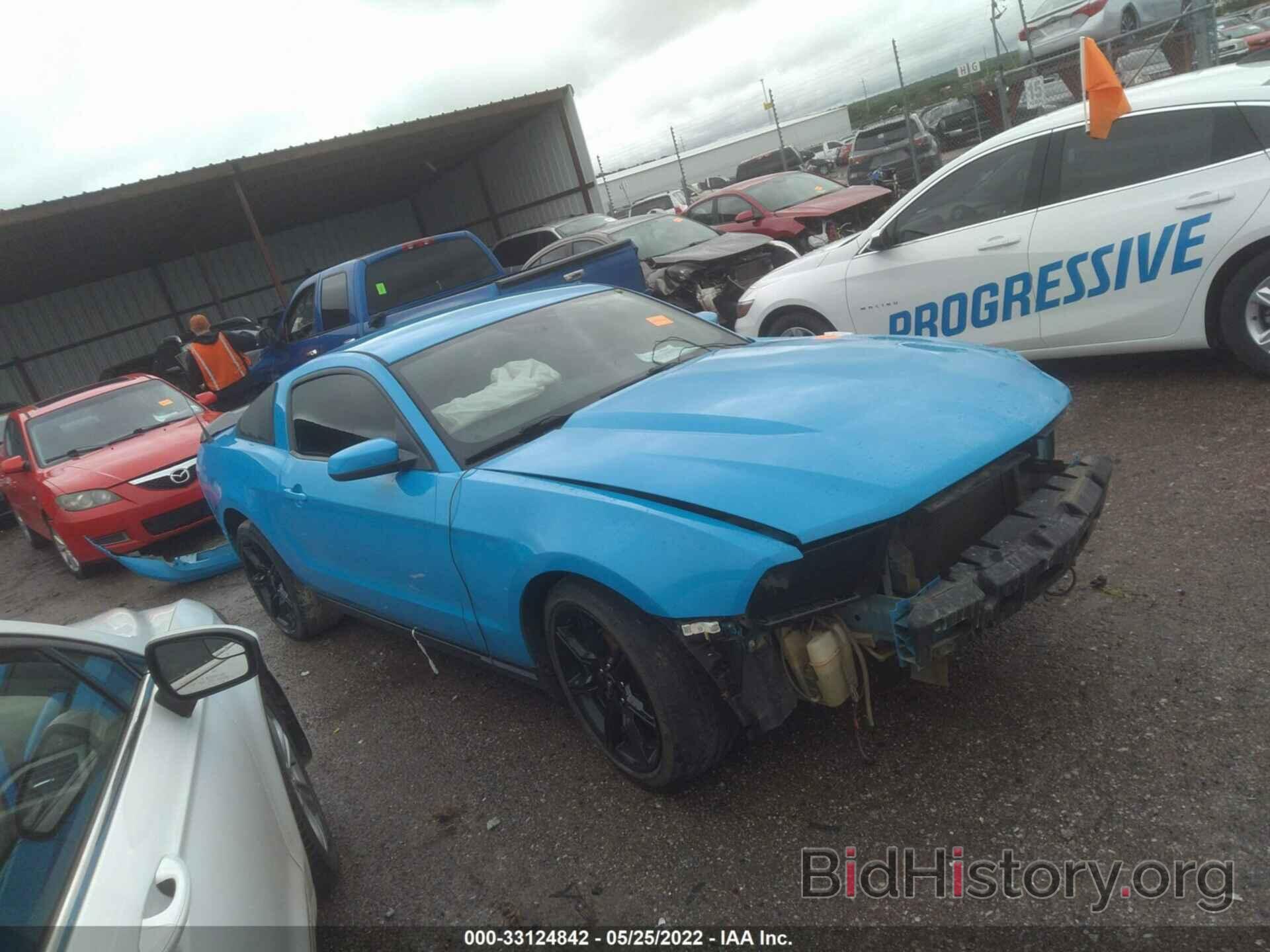 Photo 1ZVBP8AN9A5114898 - FORD MUSTANG 2010