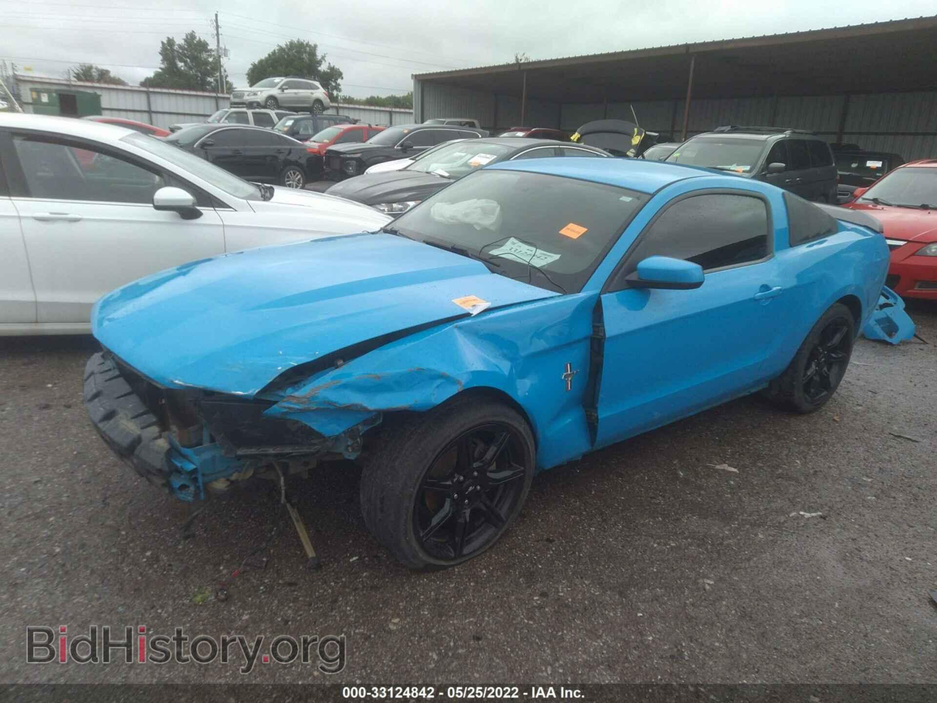 2010 FORD MUSTANG - VIN: 1ZVBP8AN9A5114898 - Фото 2