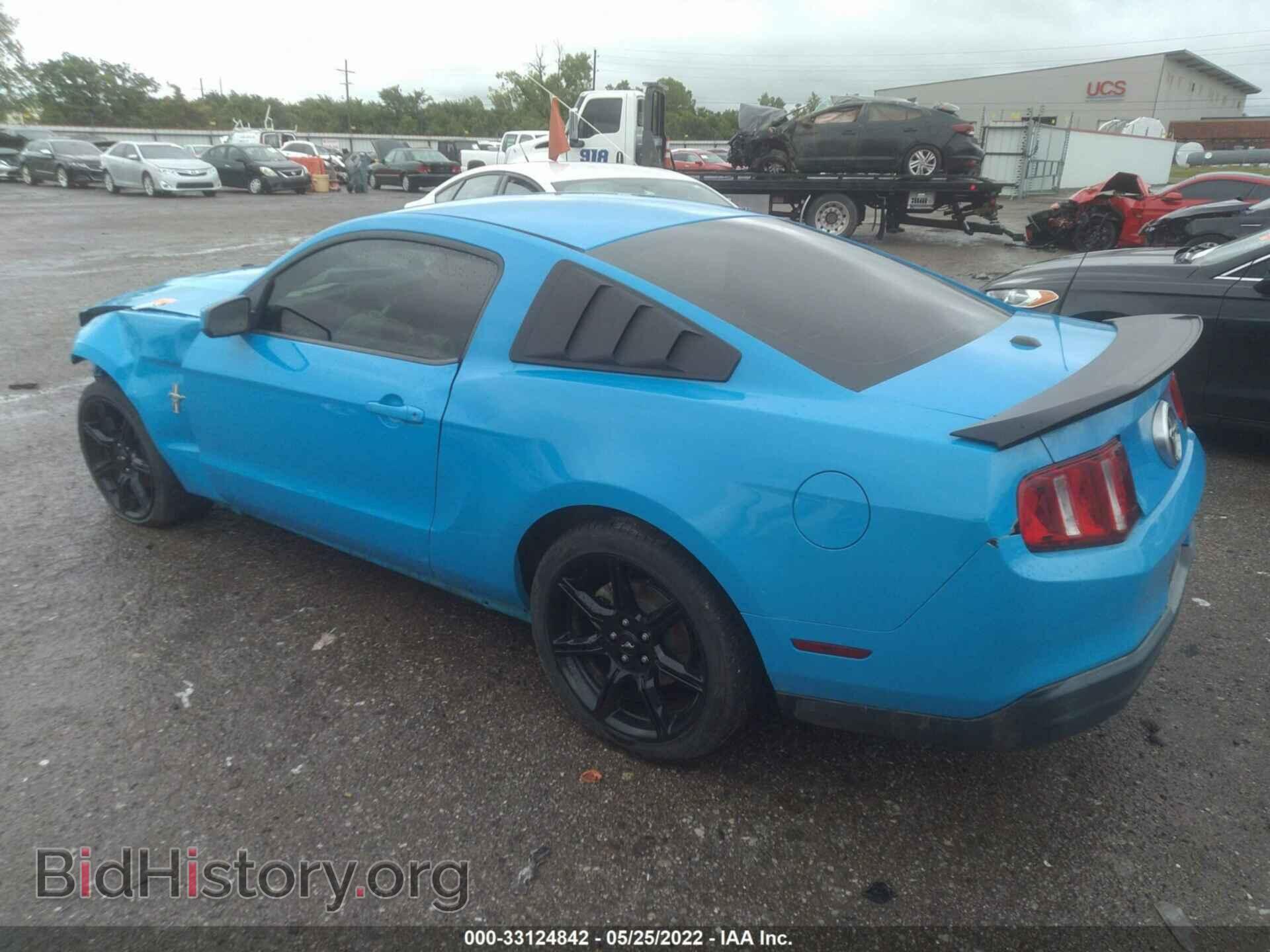 2010 FORD MUSTANG - VIN: 1ZVBP8AN9A5114898 - Фото 3