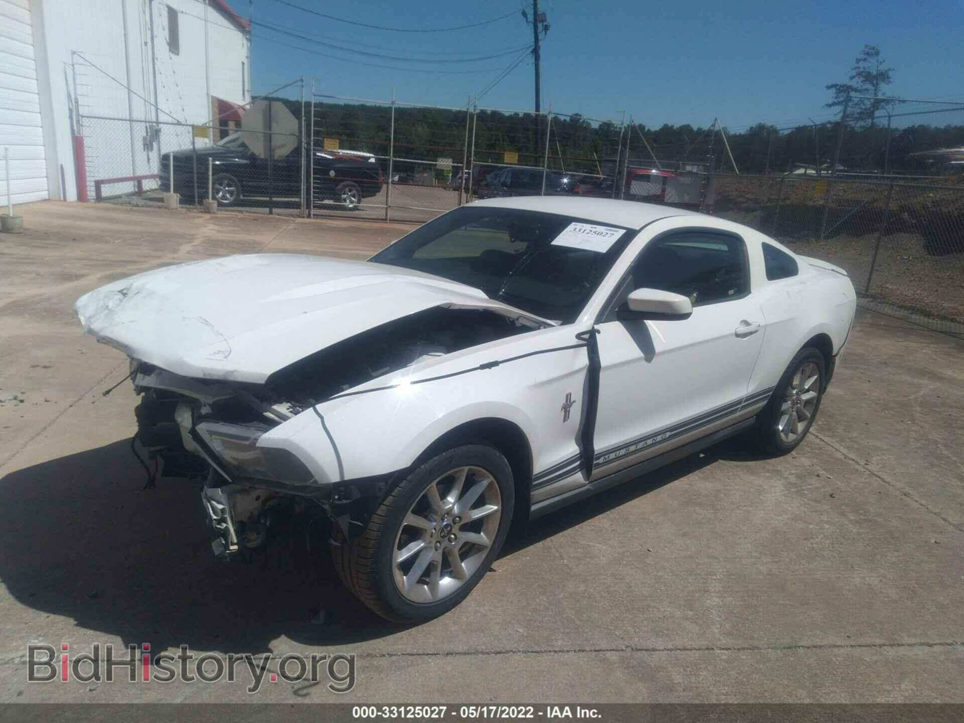 2010 FORD MUSTANG - VIN: 1ZVBP8AN3A5144561 - Фото 2