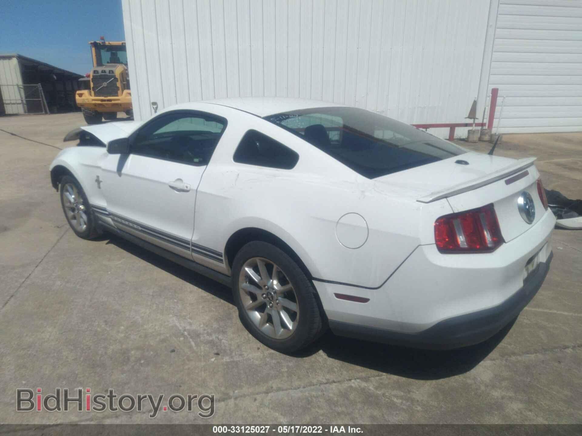 2010 FORD MUSTANG - VIN: 1ZVBP8AN3A5144561 - Фото 3