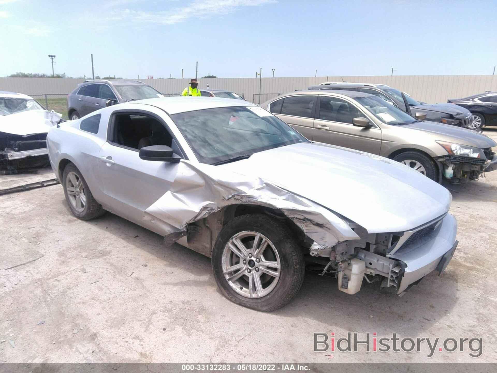 Photo 1ZVBP8AM0C5240674 - FORD MUSTANG 2012