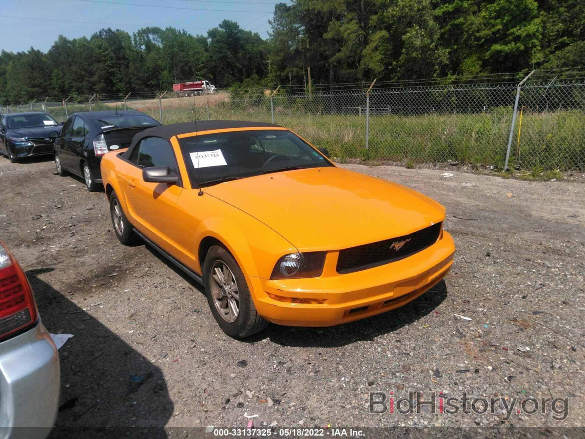 Photo 1ZVFT84N875283005 - FORD MUSTANG 2007
