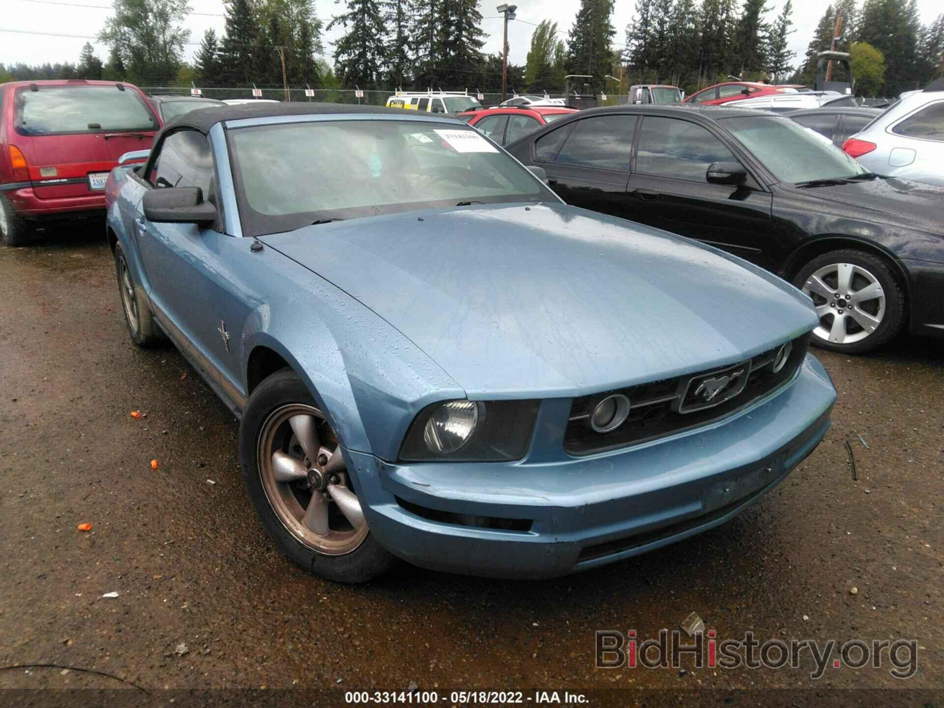 Photo 1ZVHT84N665132123 - FORD MUSTANG 2006