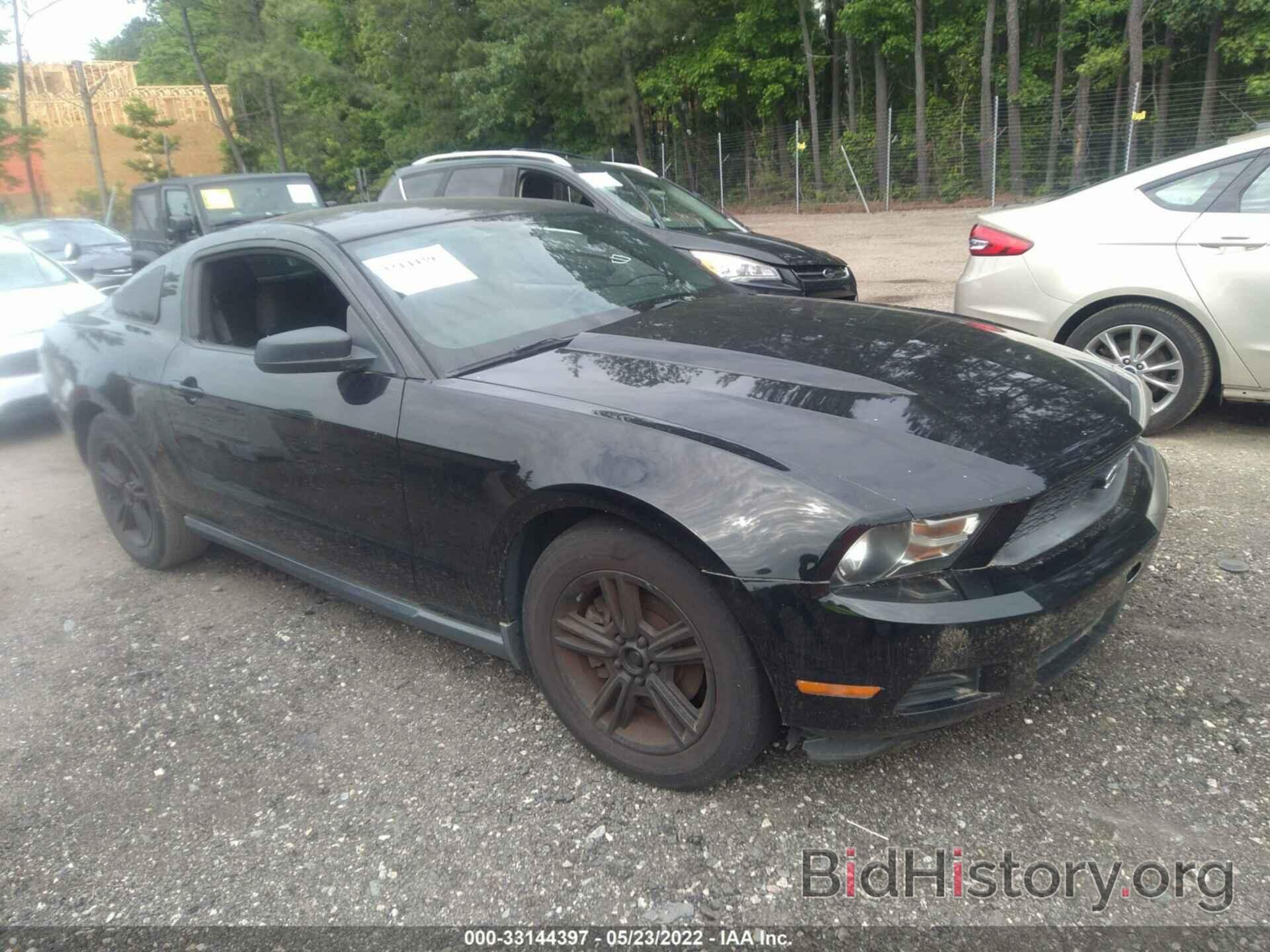 Photo 1ZVBP8AM1C5253790 - FORD MUSTANG 2012