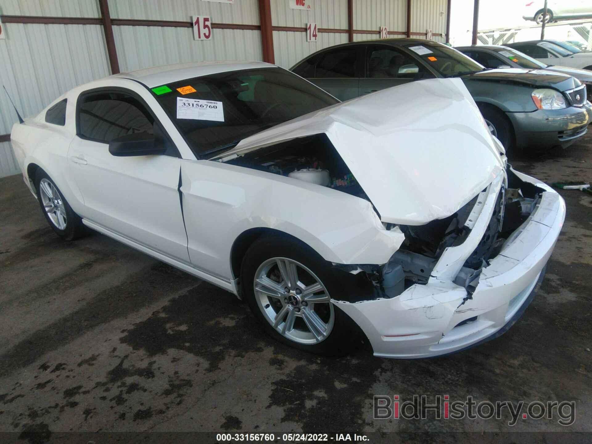 Photo 1ZVBP8AM7D5241709 - FORD MUSTANG 2013