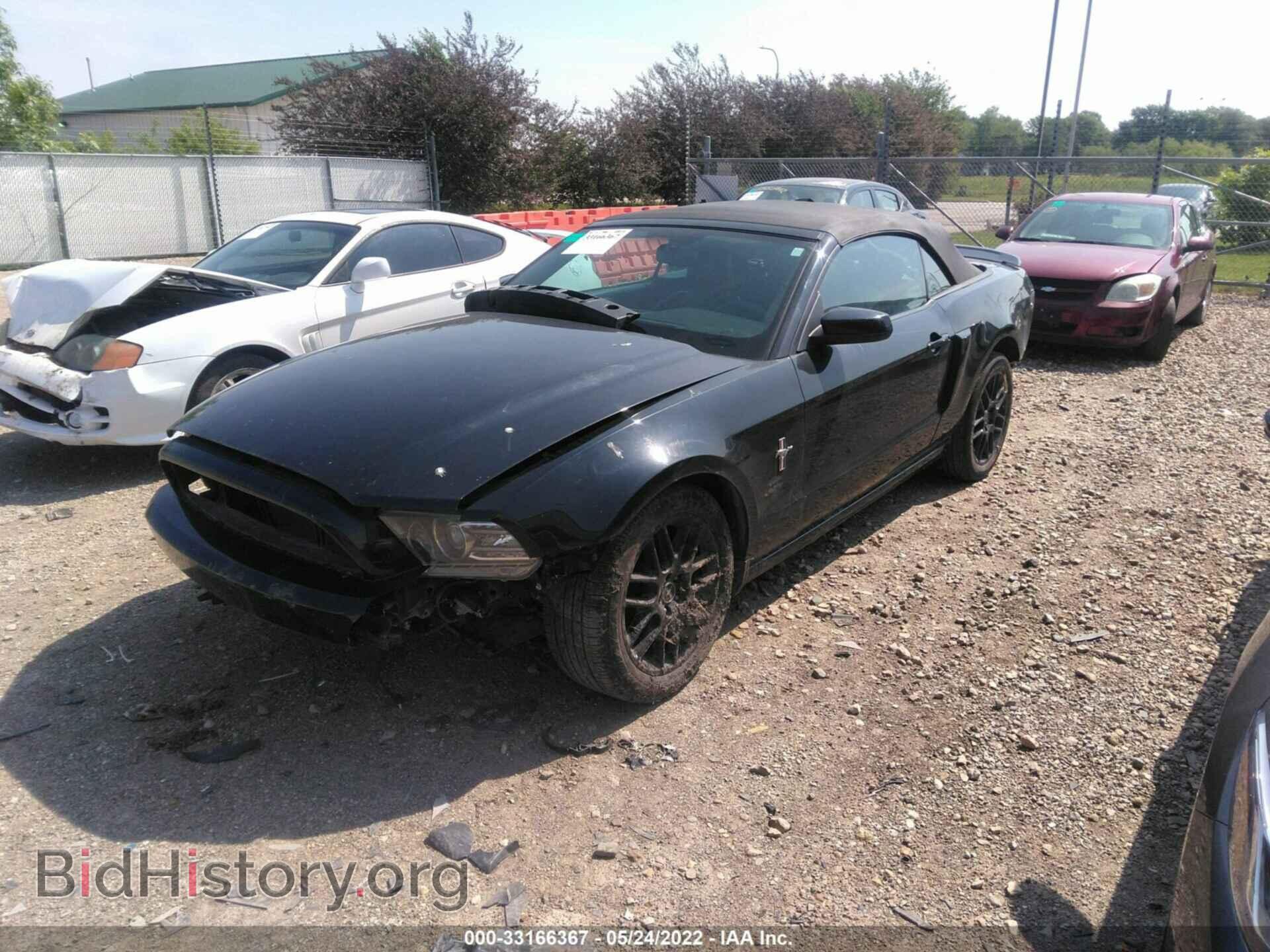 2013 FORD MUSTANG - VIN: 1ZVBP8EM9D5238563 - Фото 2