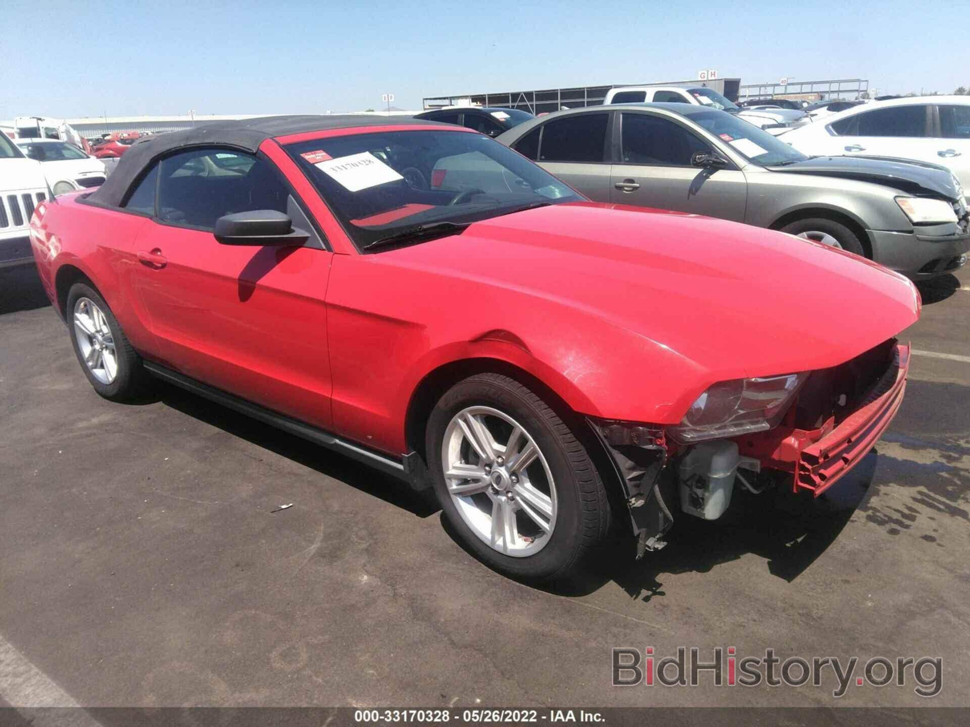 Photo 1ZVBP8EN8A5122968 - FORD MUSTANG 2010