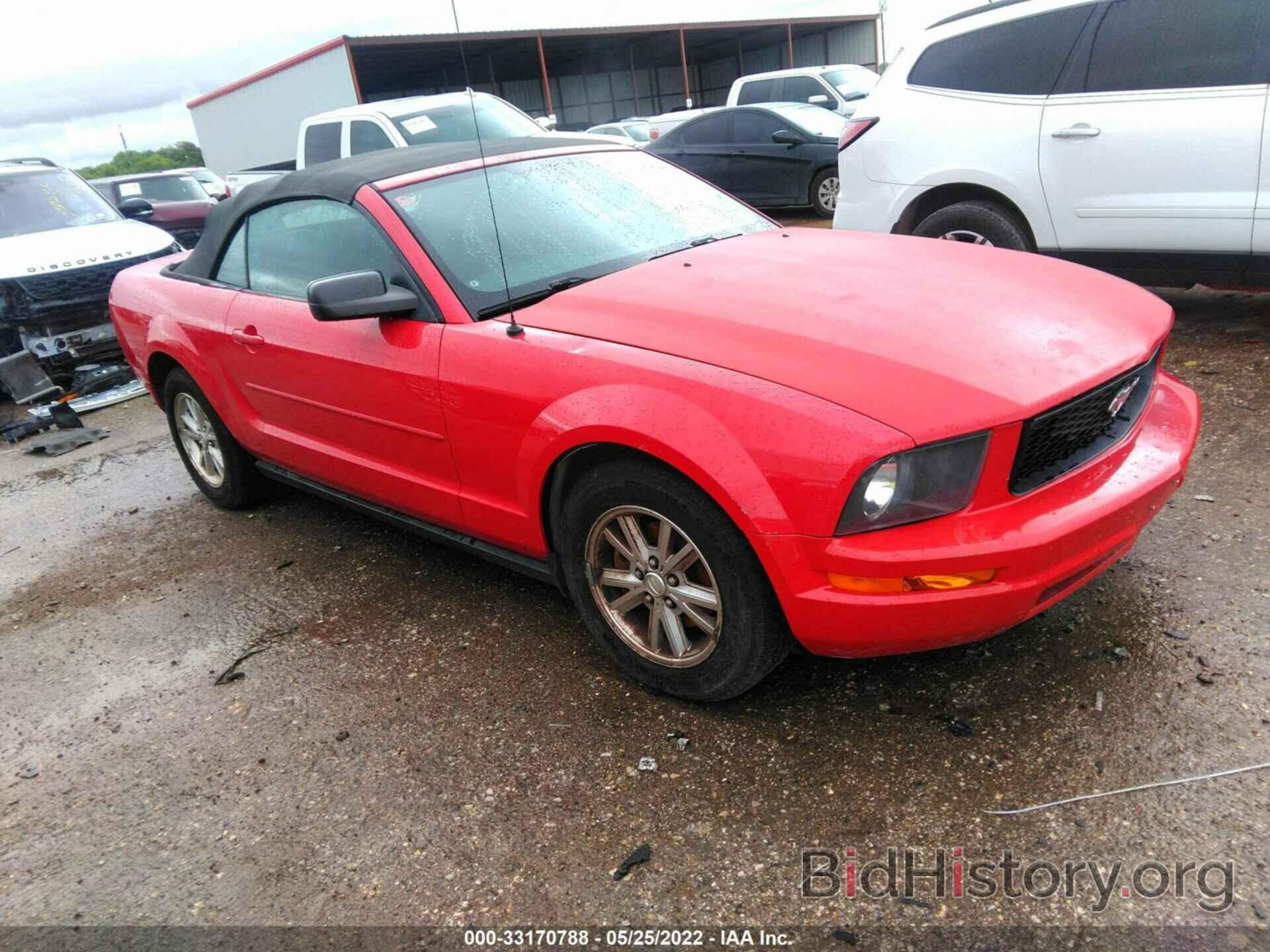 Photo 1ZVFT84N975279108 - FORD MUSTANG 2007