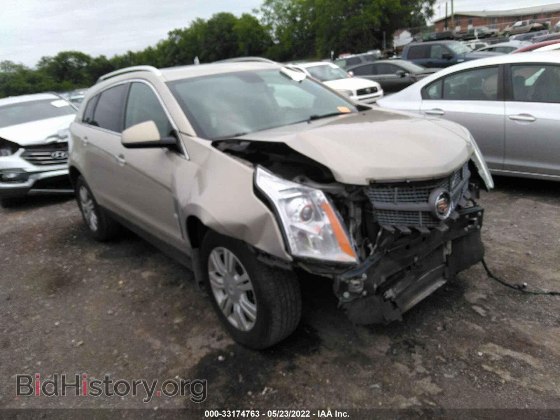 Фотография 3GYFNAE32CS519000 - CADILLAC SRX 2012