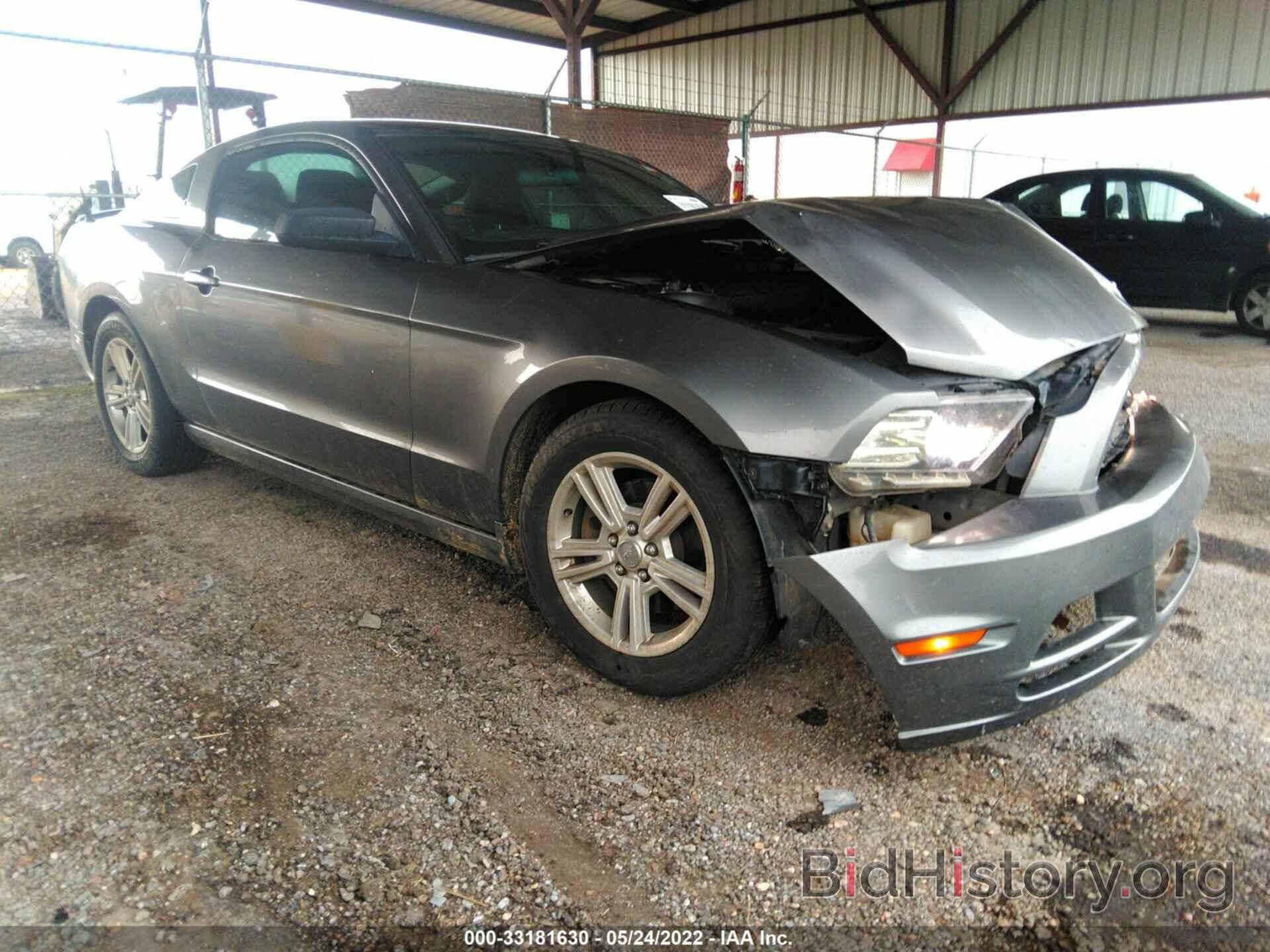 Photo 1ZVBP8AM4E5326668 - FORD MUSTANG 2014