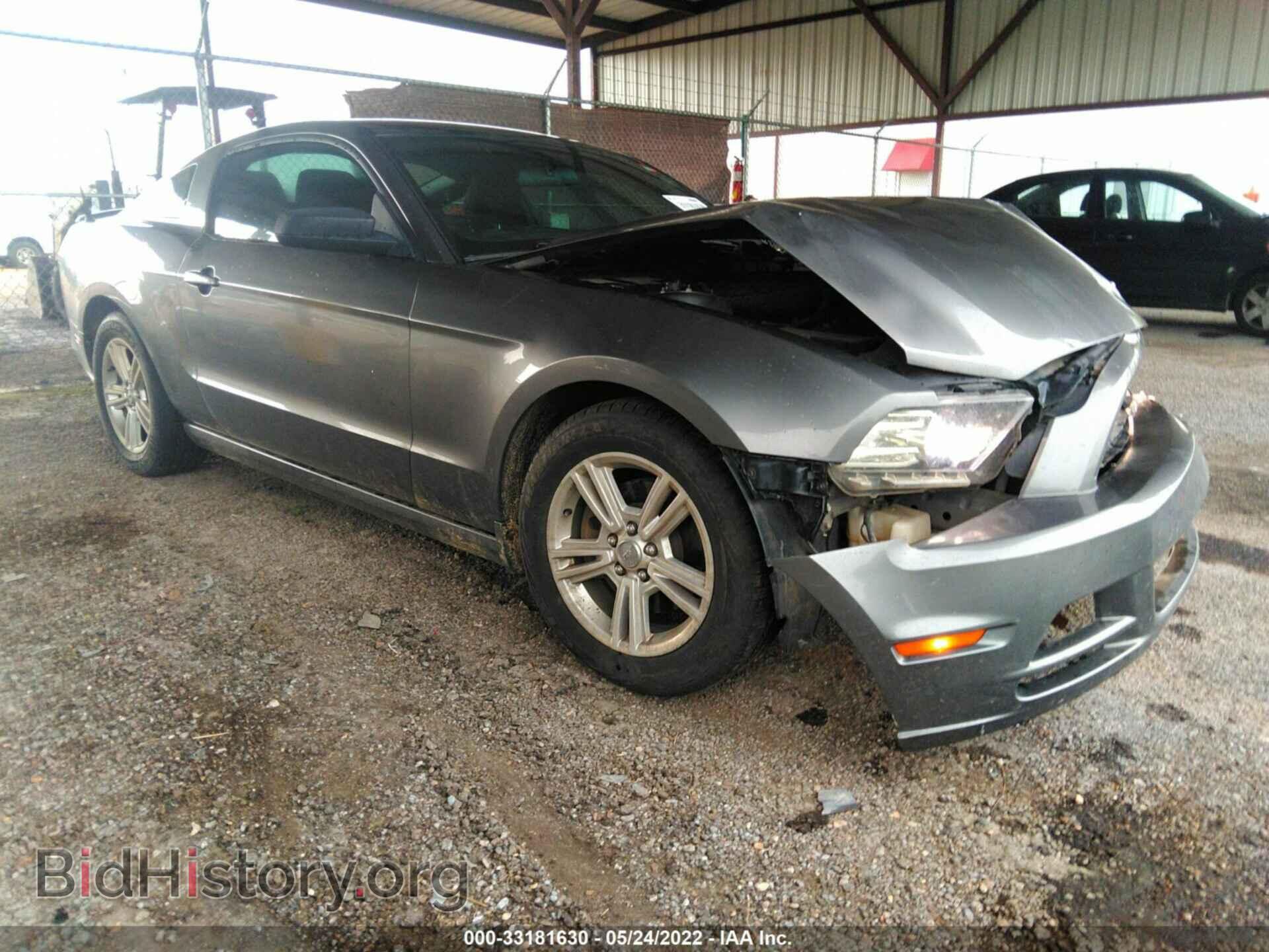 Фотография 1ZVBP8AM4E5326668 - FORD MUSTANG 2014