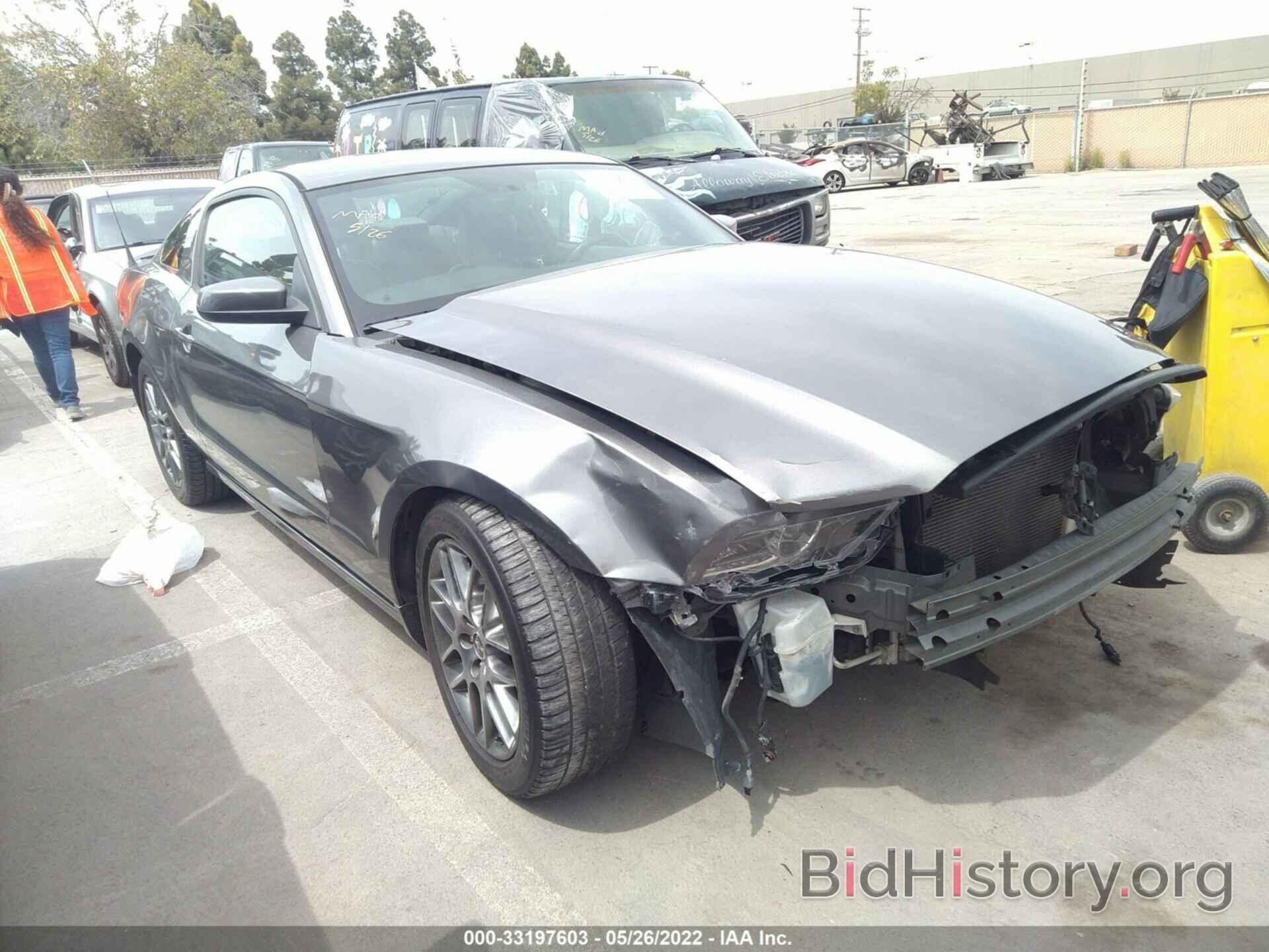 Photo 1ZVBP8AM1D5259767 - FORD MUSTANG 2013