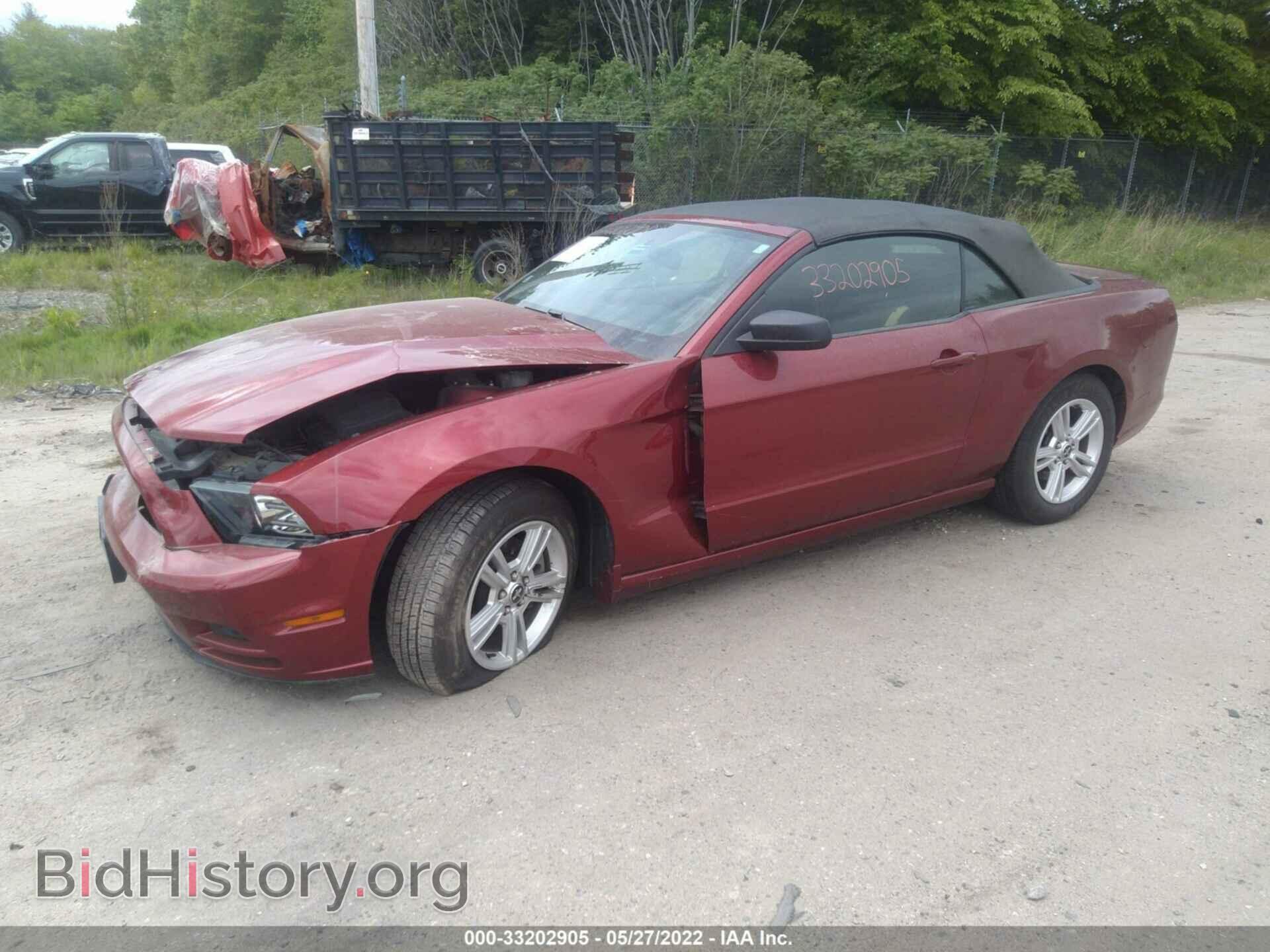 2014 FORD MUSTANG - VIN: 1ZVBP8EM9E5255123 - Фото 2