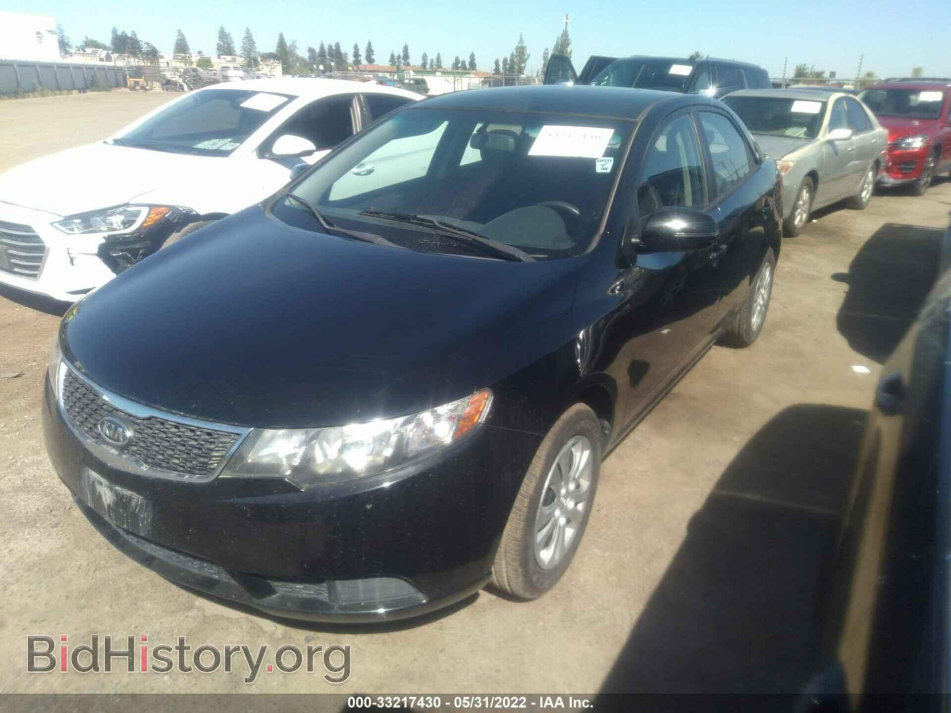 2013 KIA FORTE - VIN: KNAFT4A22D5674049 - Фото 2