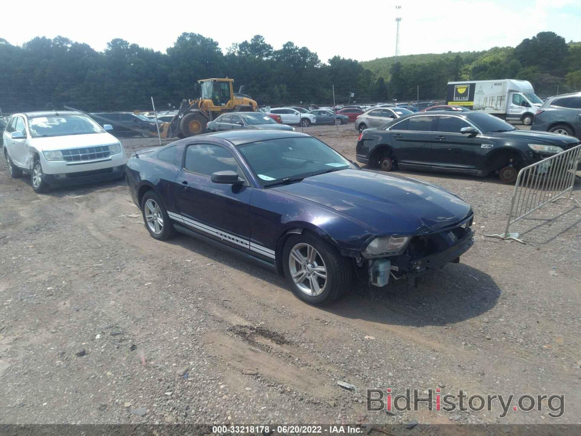 Photo 1ZVBP8AN3A5137867 - FORD MUSTANG 2010