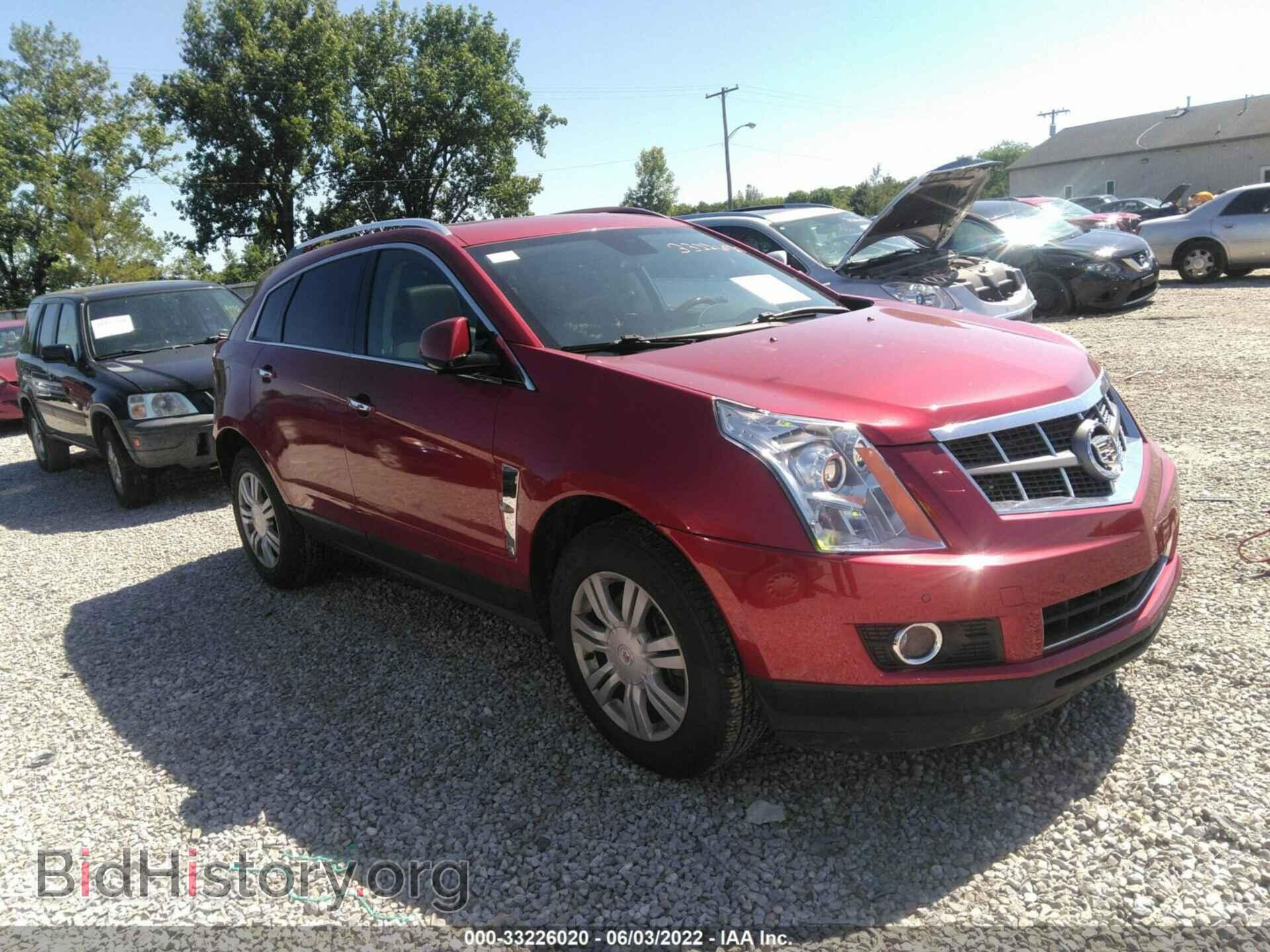 Фотография 3GYFNAEY7AS610692 - CADILLAC SRX 2010