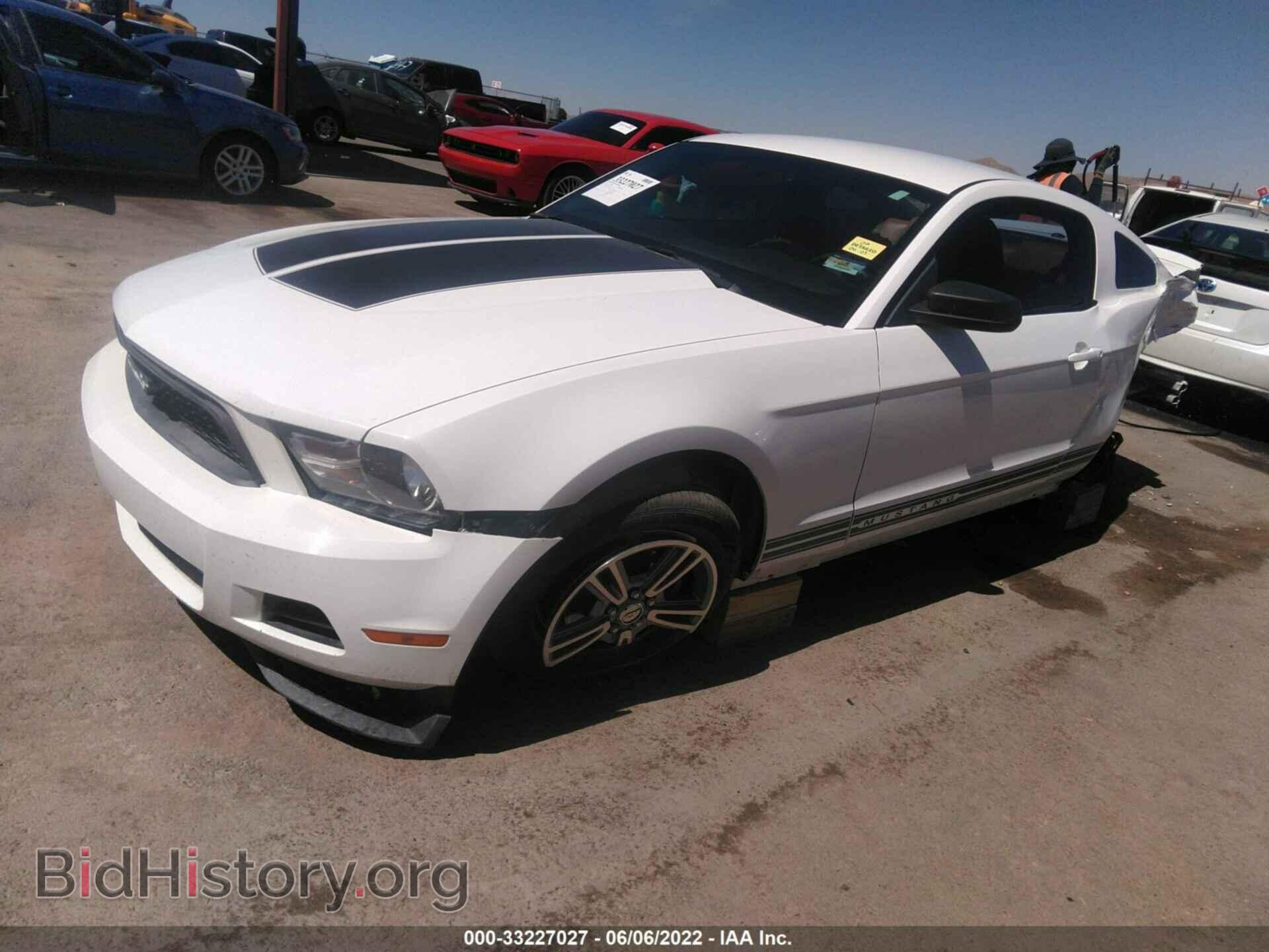 2010 FORD MUSTANG - VIN: 1ZVBP8AN3A5172585 - Фото 2