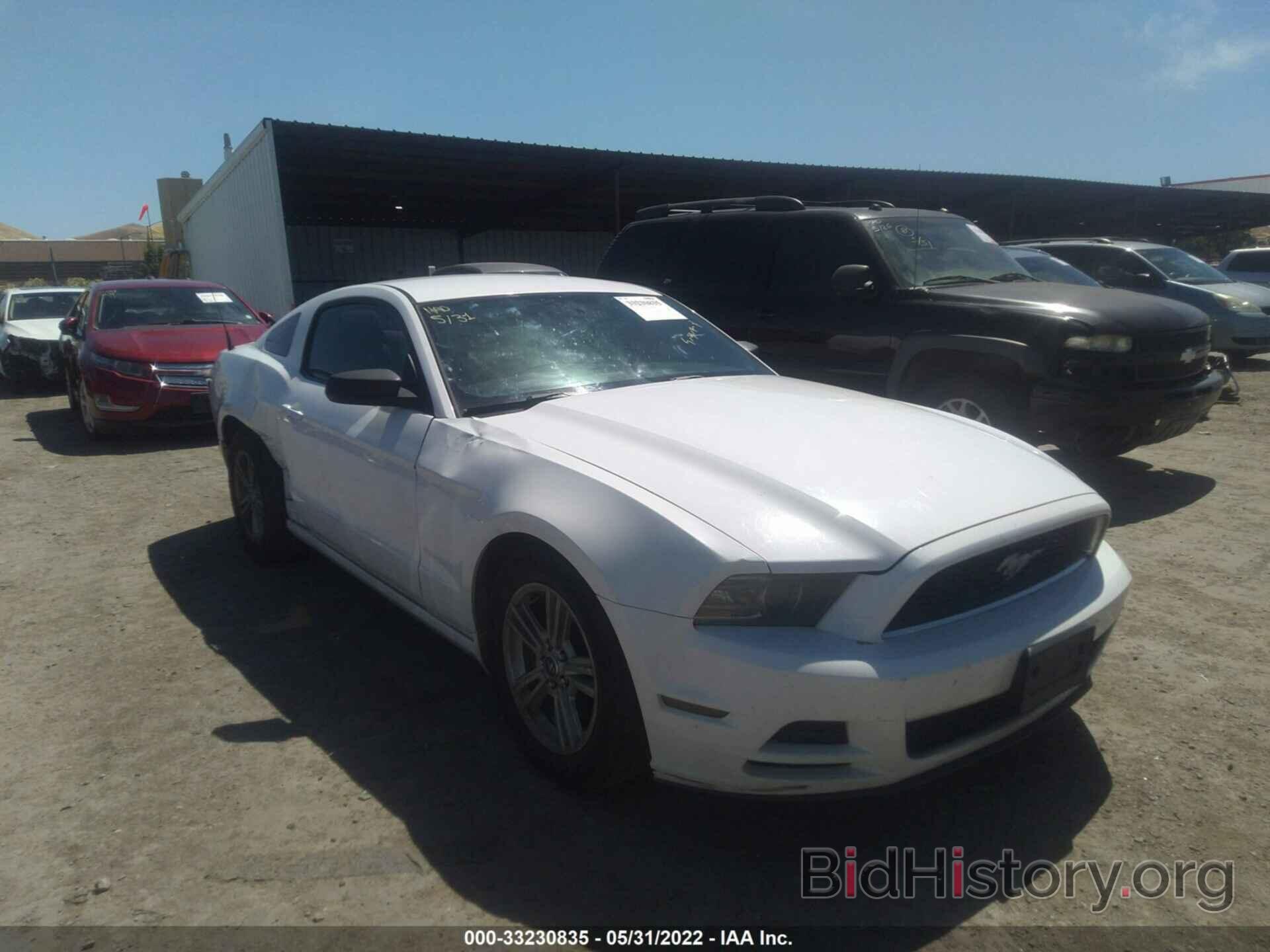 Photo 1ZVBP8AM3E5327679 - FORD MUSTANG 2014