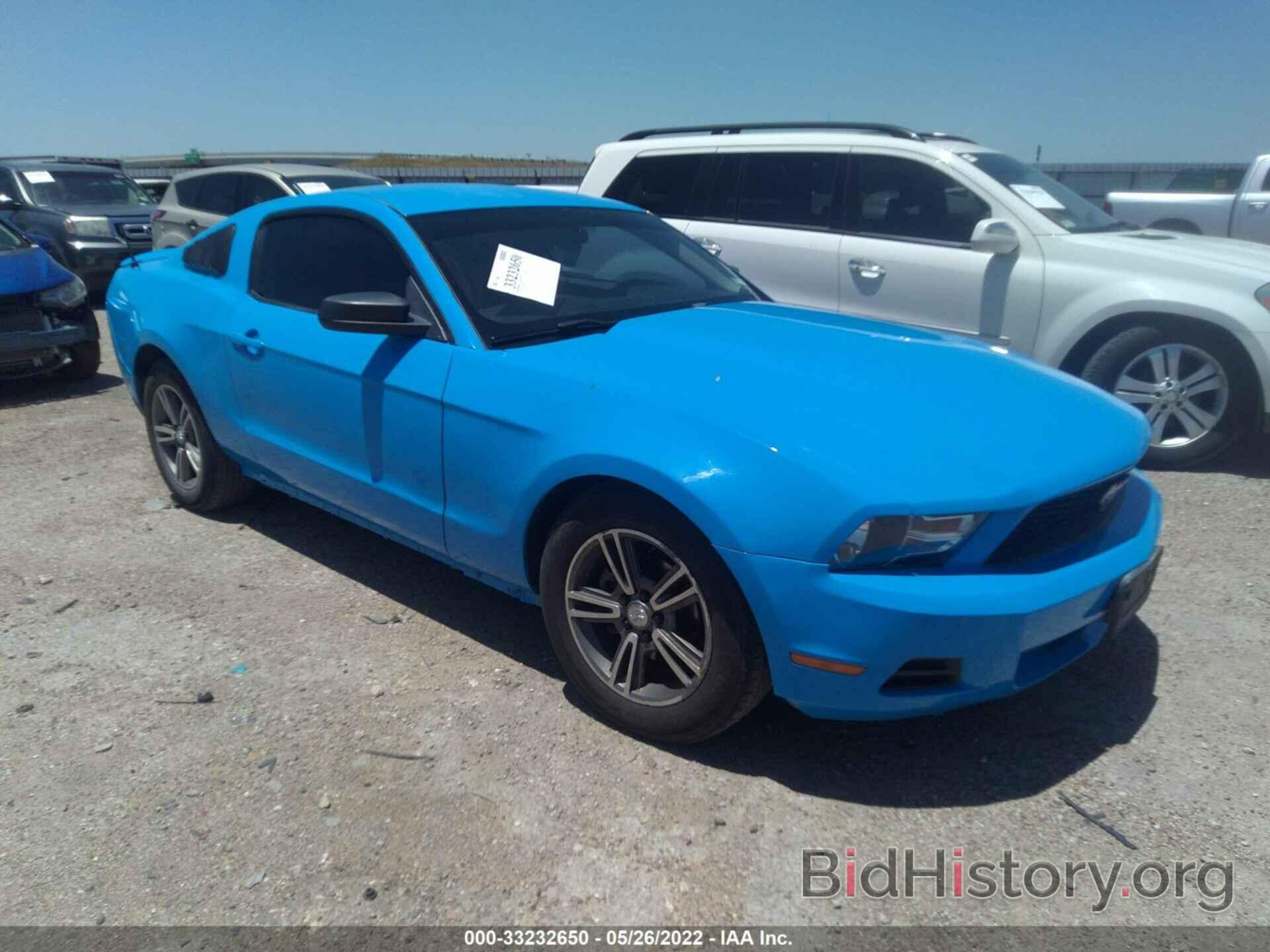 Photo 1ZVBP8AN5A5118740 - FORD MUSTANG 2010