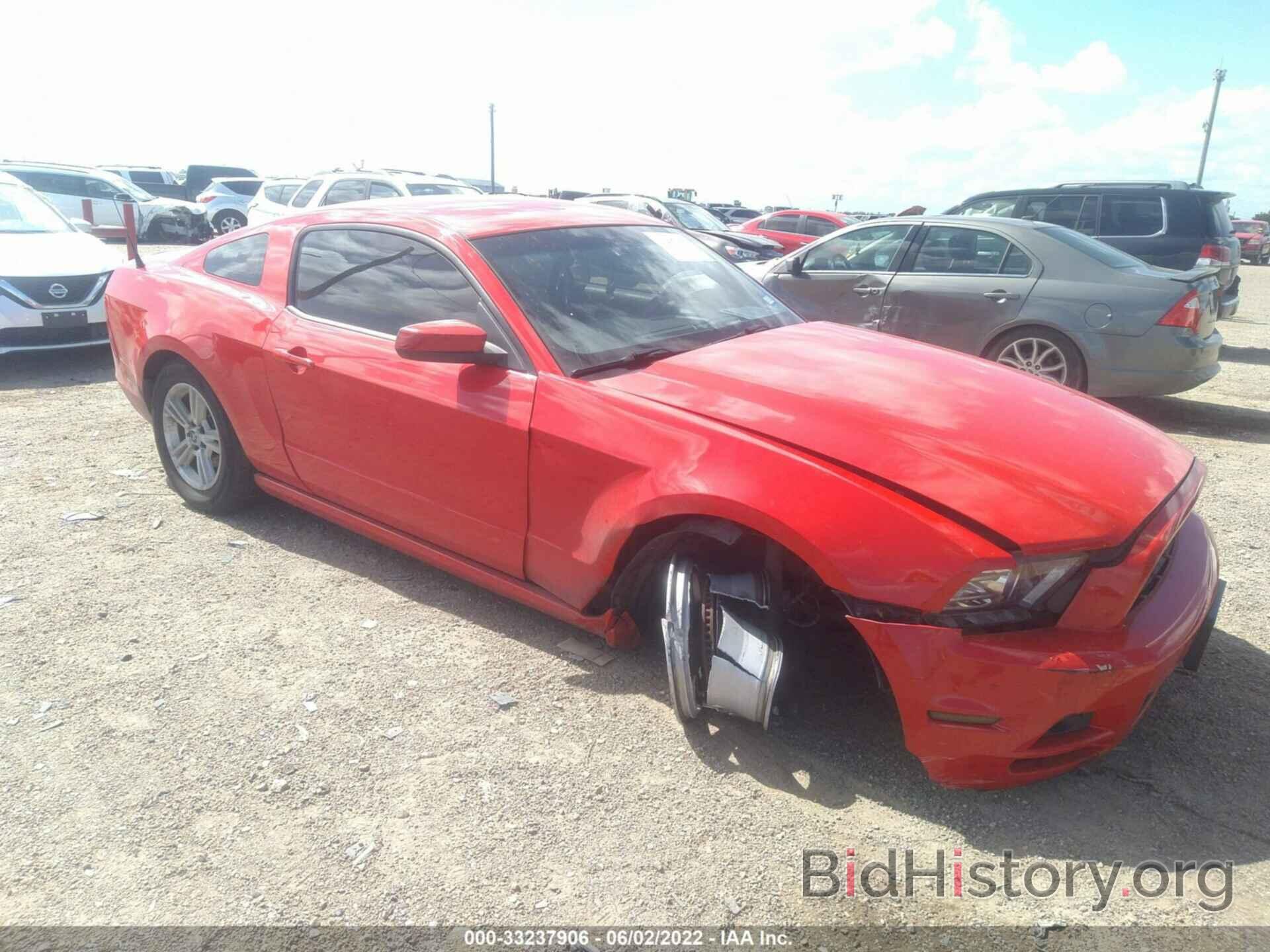 Photo 1ZVBP8AM5D5251400 - FORD MUSTANG 2013