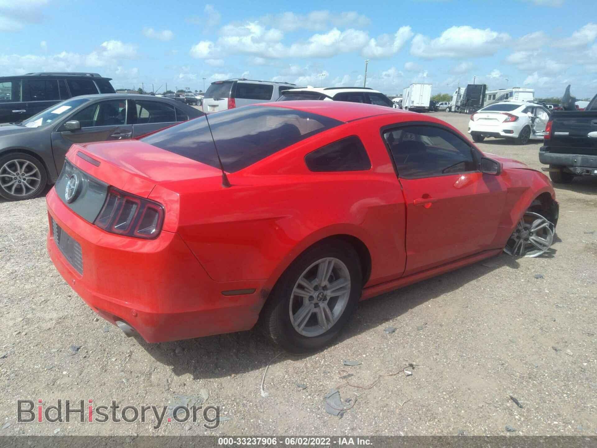 2013 FORD MUSTANG - VIN: 1ZVBP8AM5D5251400 - Фото 4