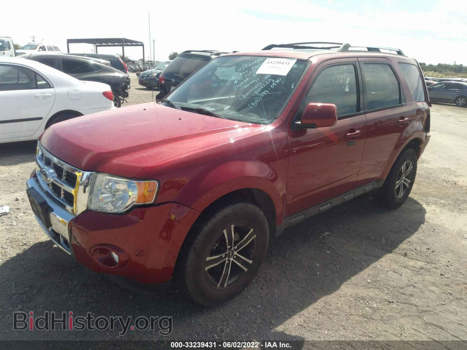 2010 FORD ESCAPE - VIN: 1FMCU0E72AKC41387 - Фото 2