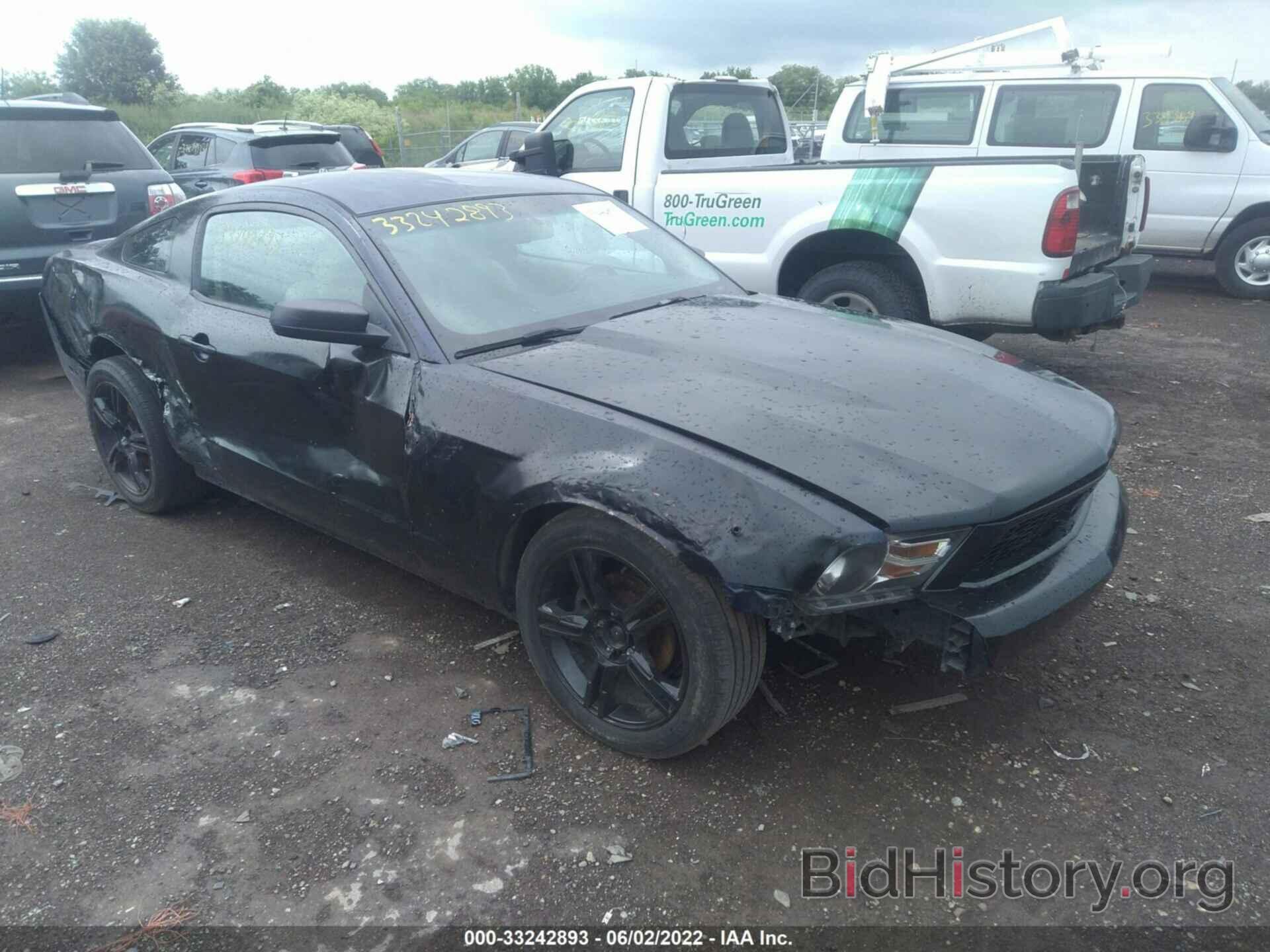 Photo 1ZVBP8AN0A5141388 - FORD MUSTANG 2010