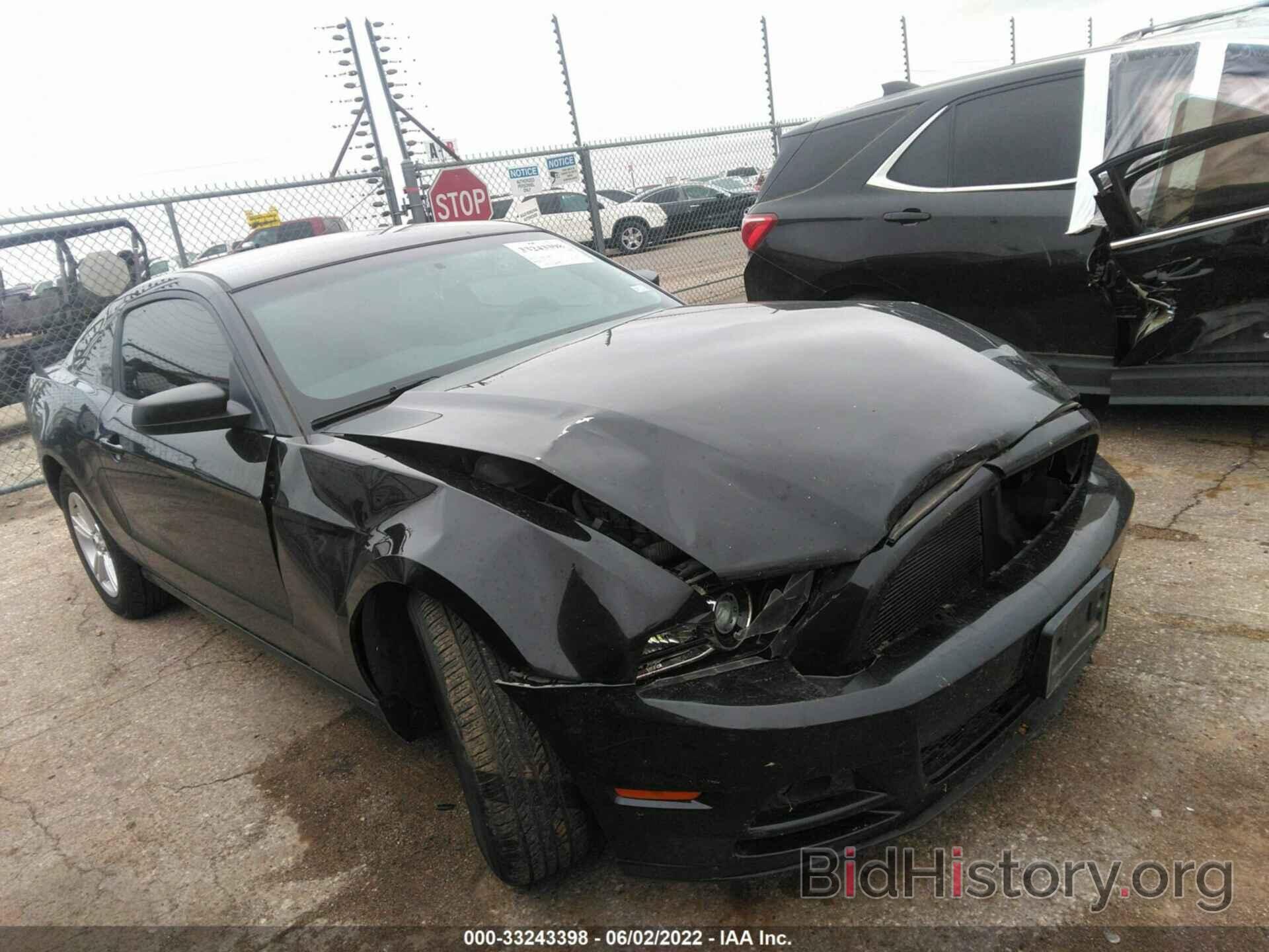 Photo 1ZVBP8AM4E5228708 - FORD MUSTANG 2014