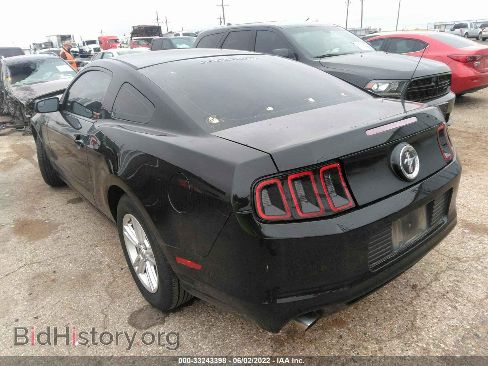2014 FORD MUSTANG - VIN: 1ZVBP8AM4E5228708 - Фото 3