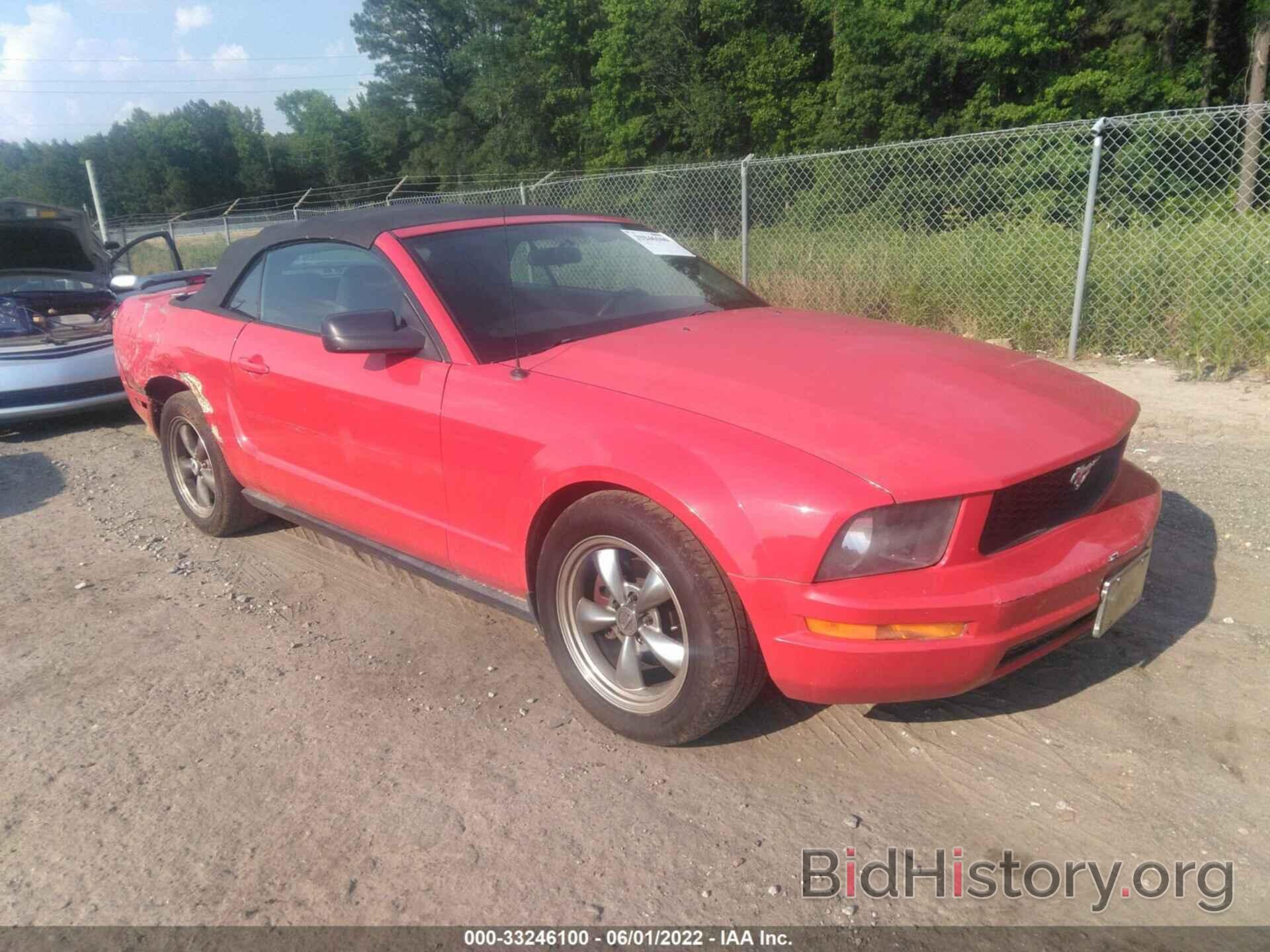 Photo 1ZVFT84N075368243 - FORD MUSTANG 2007