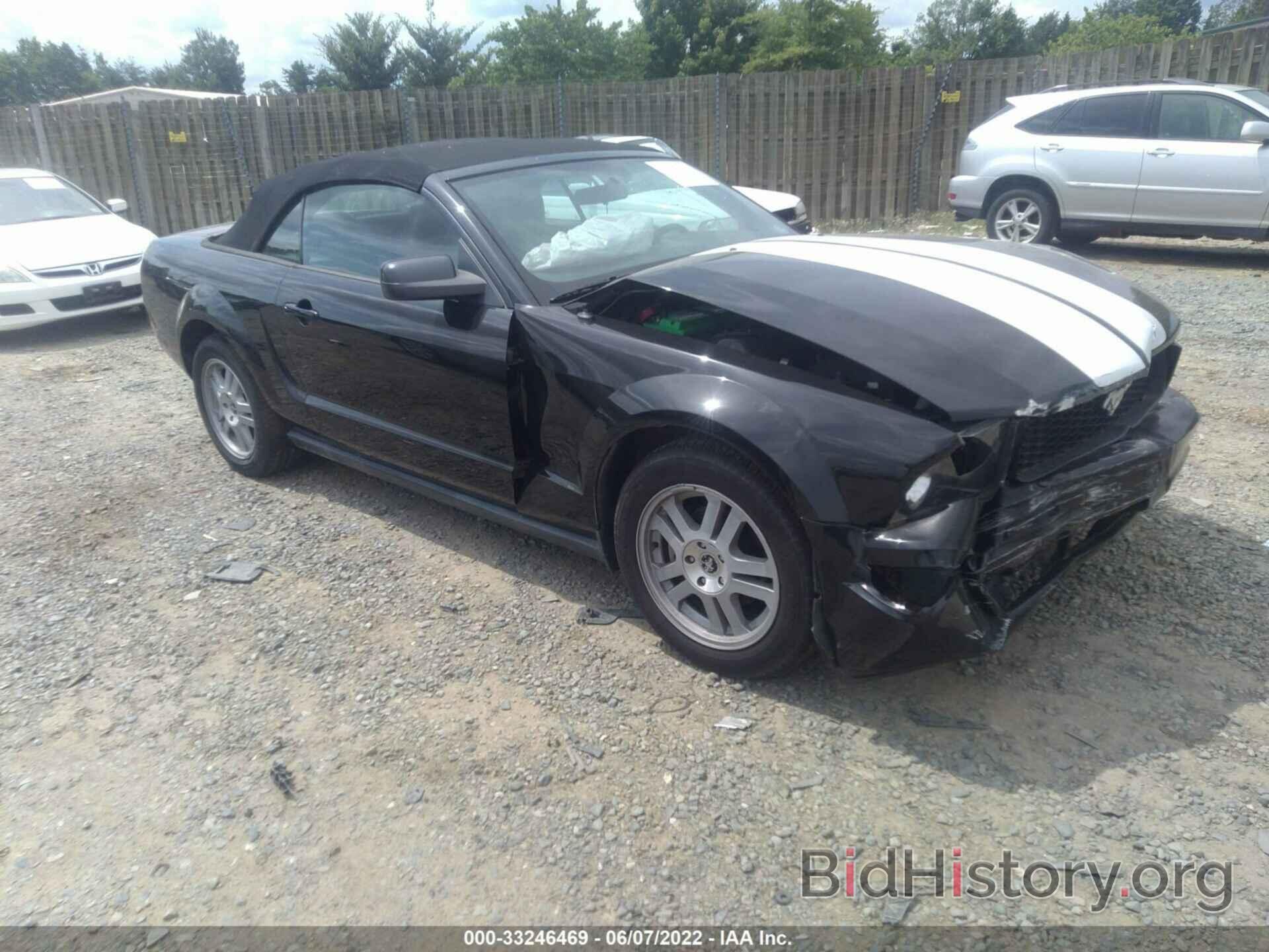 Photo 1ZVHT84N085154752 - FORD MUSTANG 2008