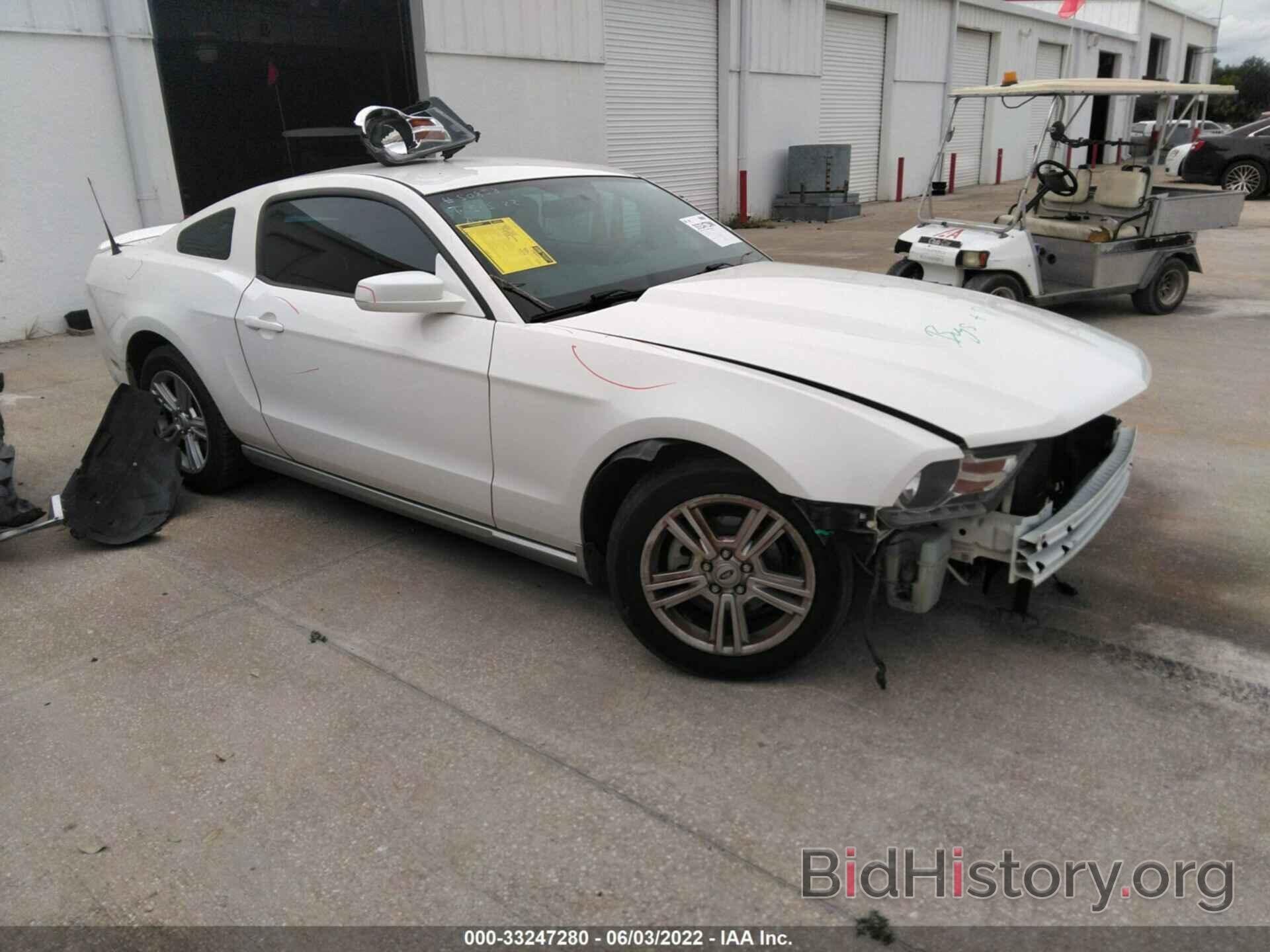 Photo 1ZVBP8AN8A5158603 - FORD MUSTANG 2010
