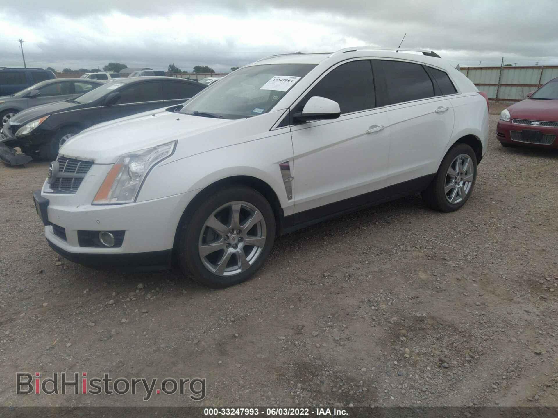 2011 CADILLAC SRX - VIN: 3GYFNJE67BS511659 - Фото 2