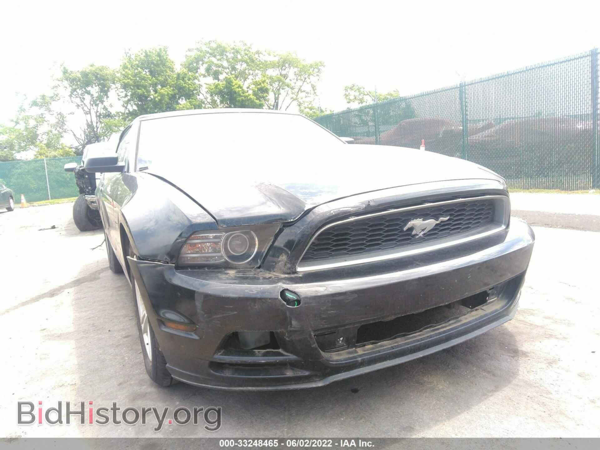 2013 FORD MUSTANG - VIN: 1ZVBP8EM1D5203578 - Фото 6