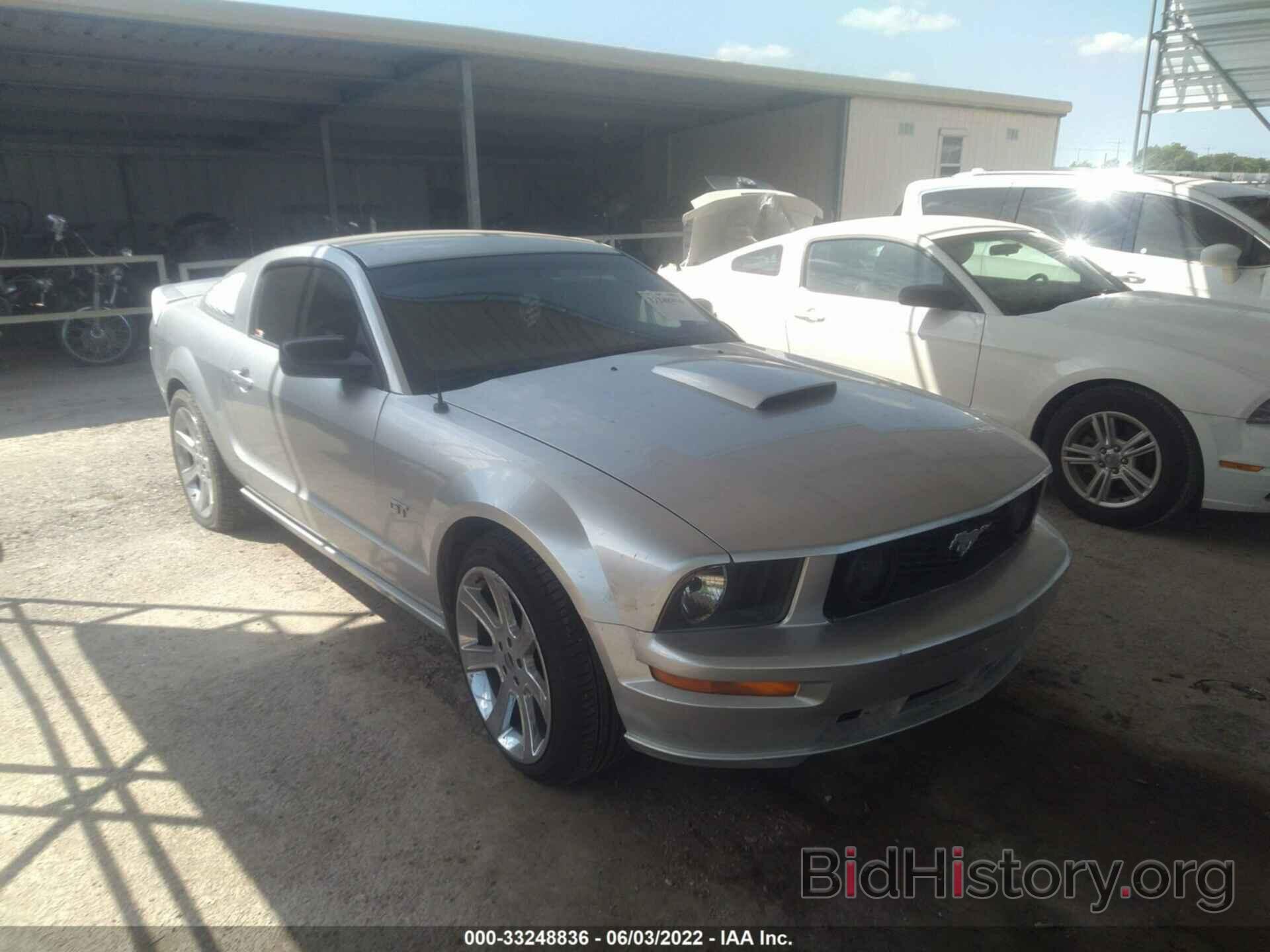 Photo 1ZVHT82H885159601 - FORD MUSTANG 2008
