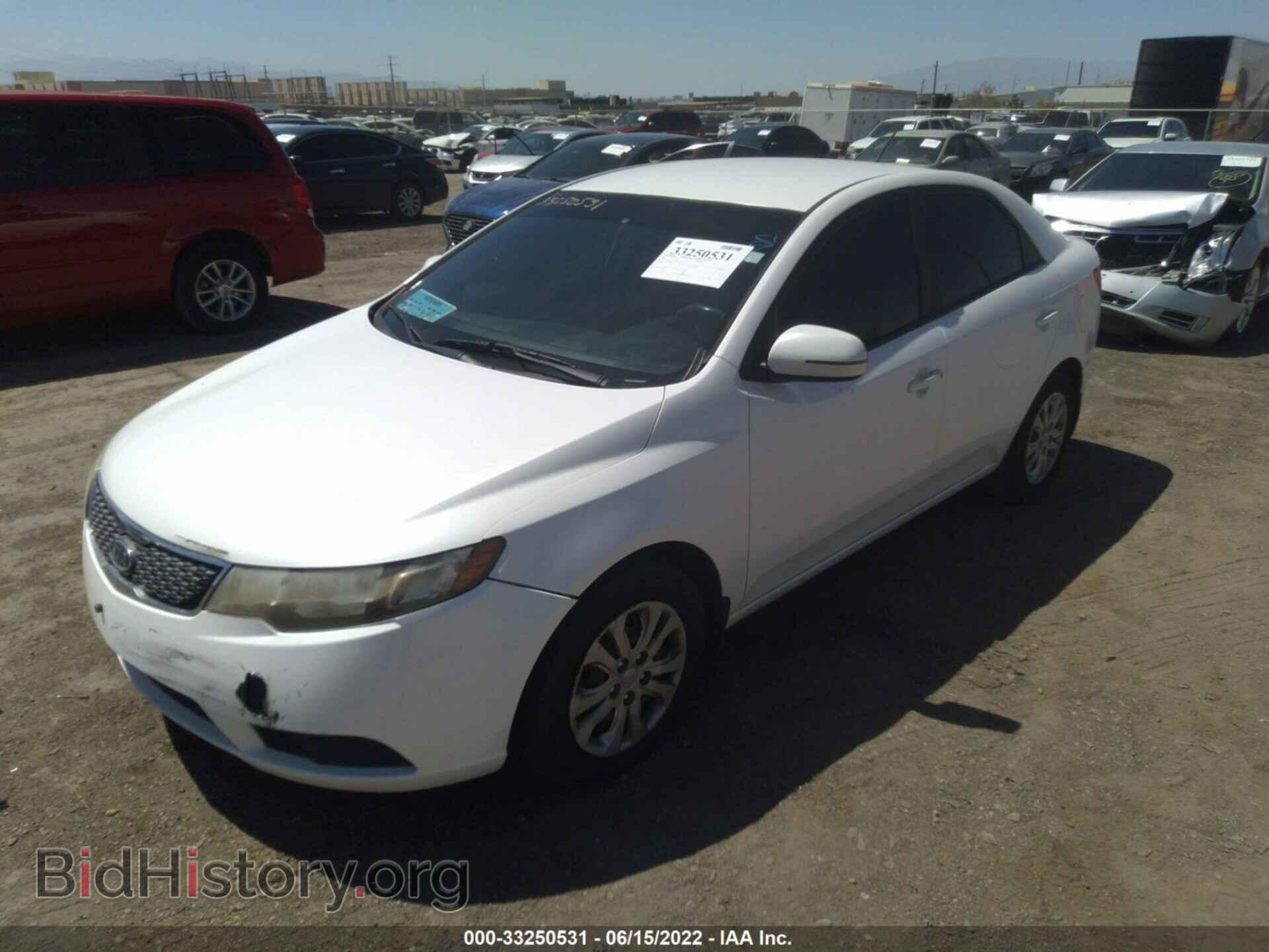 2011 KIA FORTE - VIN: KNAFU4A2XB5365973 - Фото 2