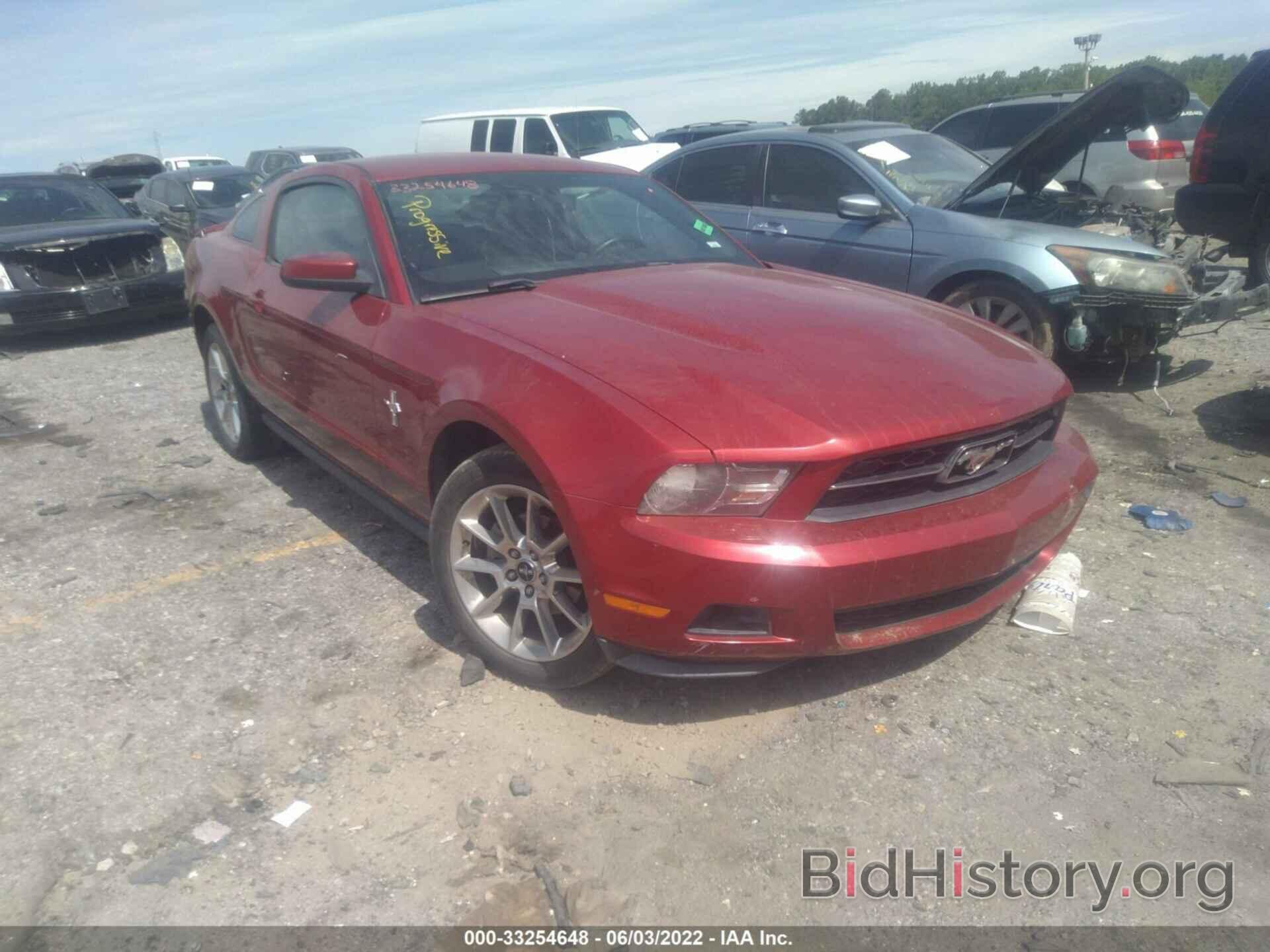 Photo 1ZVBP8AN6A5158132 - FORD MUSTANG 2010