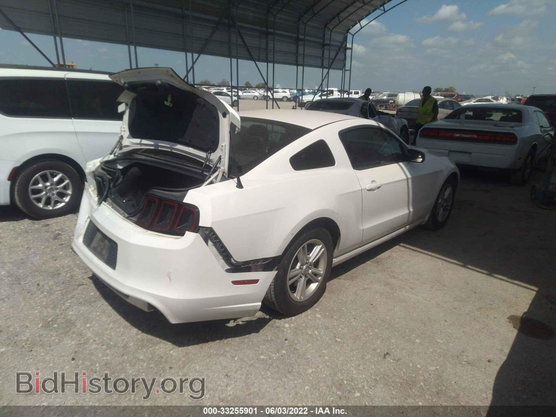 2013 FORD MUSTANG - VIN: 1ZVBP8AM3D5278949 - Фото 4