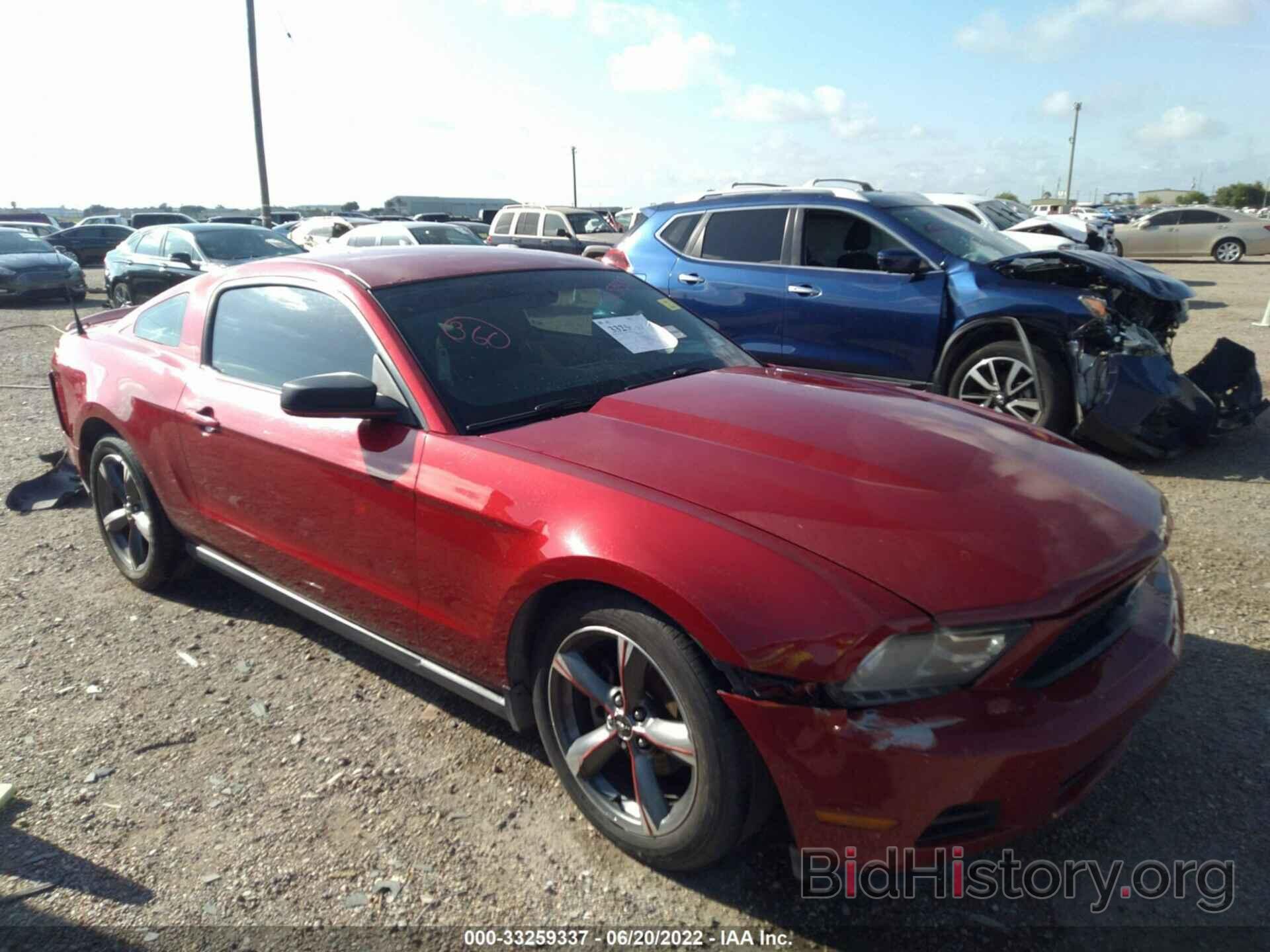Photo 1ZVBP8AN3A5181898 - FORD MUSTANG 2010
