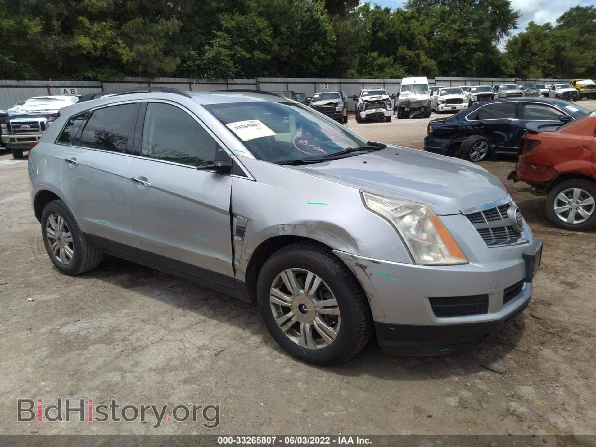 Фотография 3GYFNGEY0AS517628 - CADILLAC SRX 2010