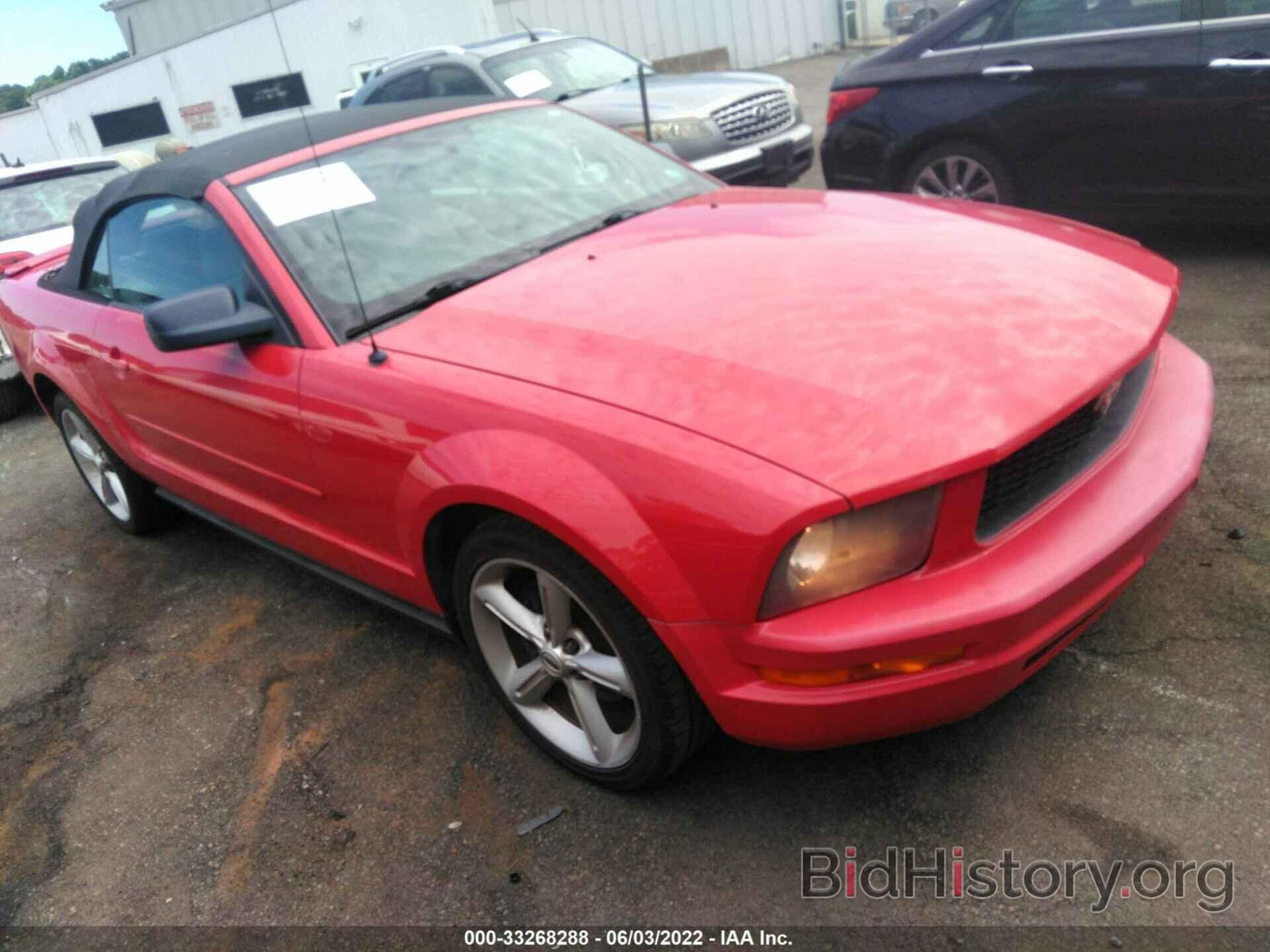 Photo 1ZVHT84N785144767 - FORD MUSTANG 2008