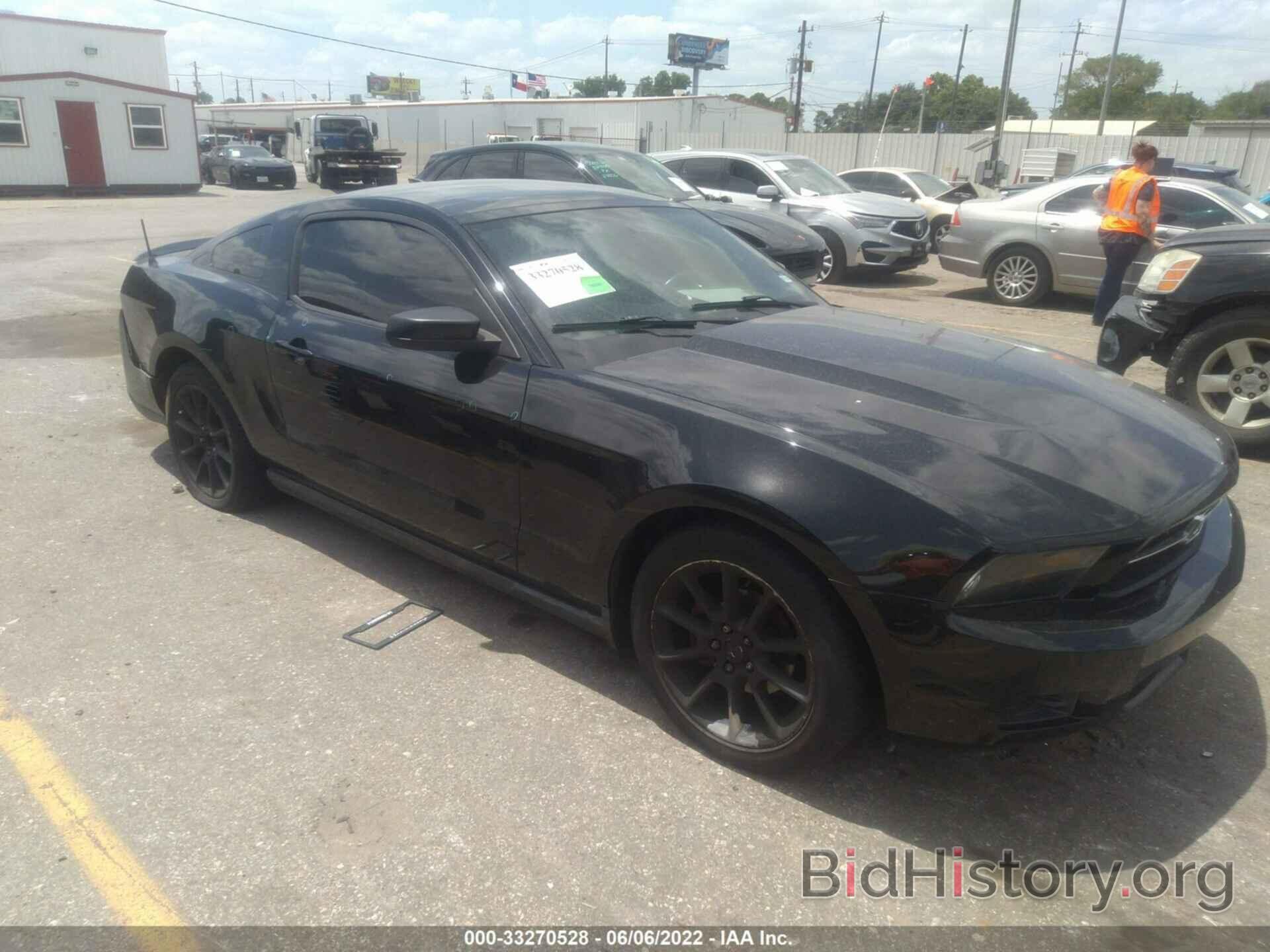 Photo 1ZVBP8AN5A5175083 - FORD MUSTANG 2010