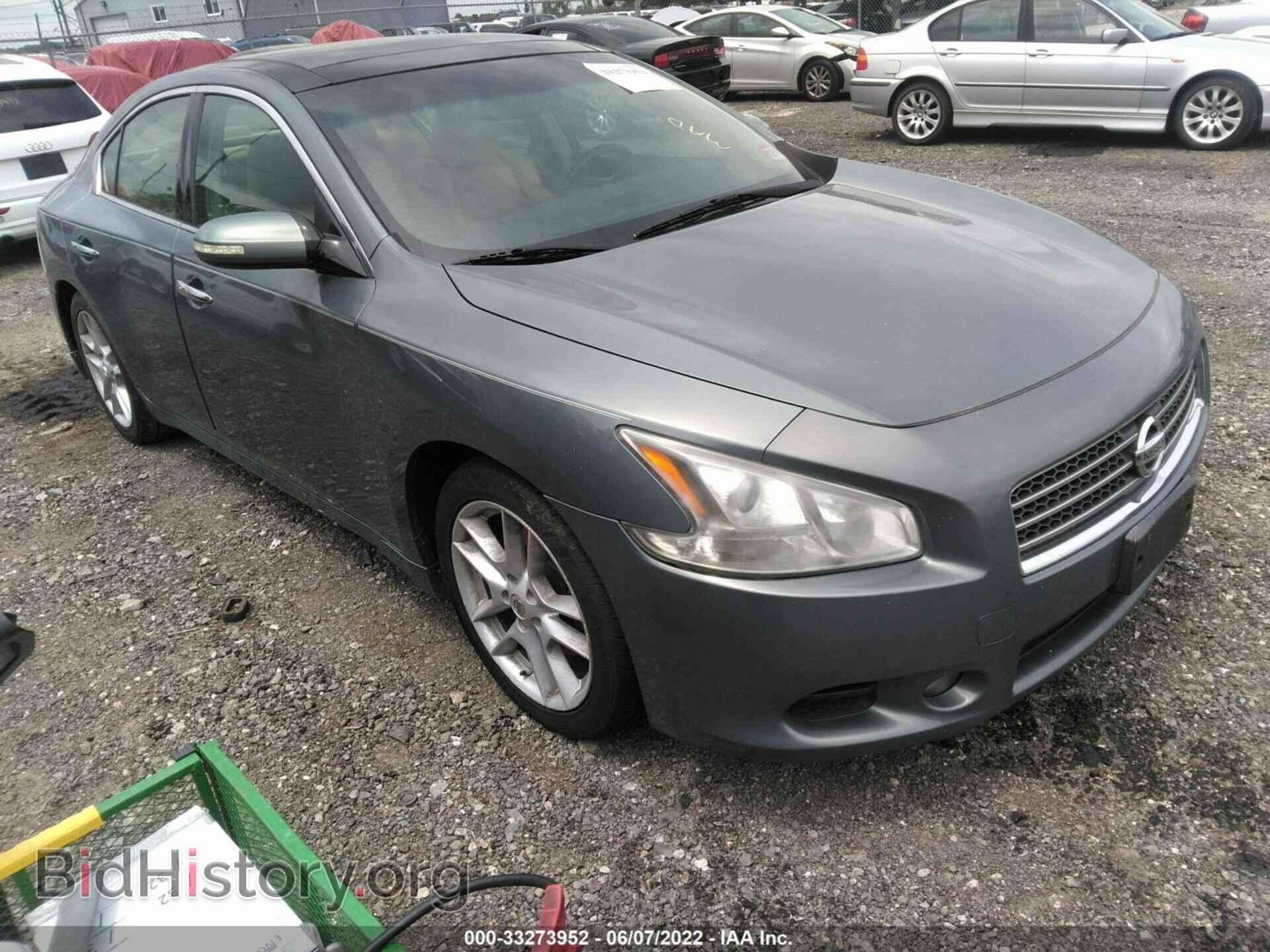 Photo 1N4AA5APXAC806850 - NISSAN MAXIMA 2010
