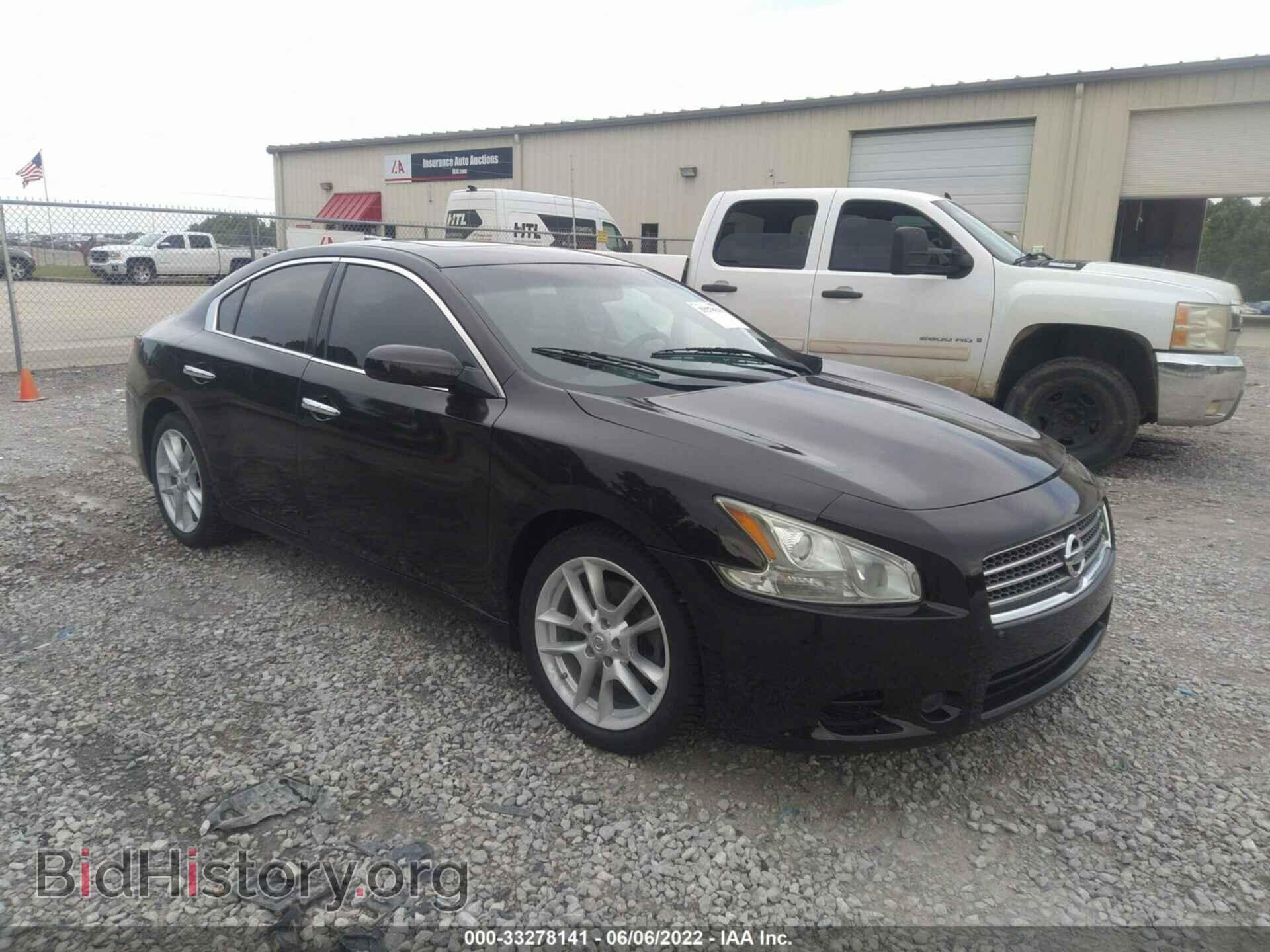 Фотография 1N4AA5APXBC840904 - NISSAN MAXIMA 2011