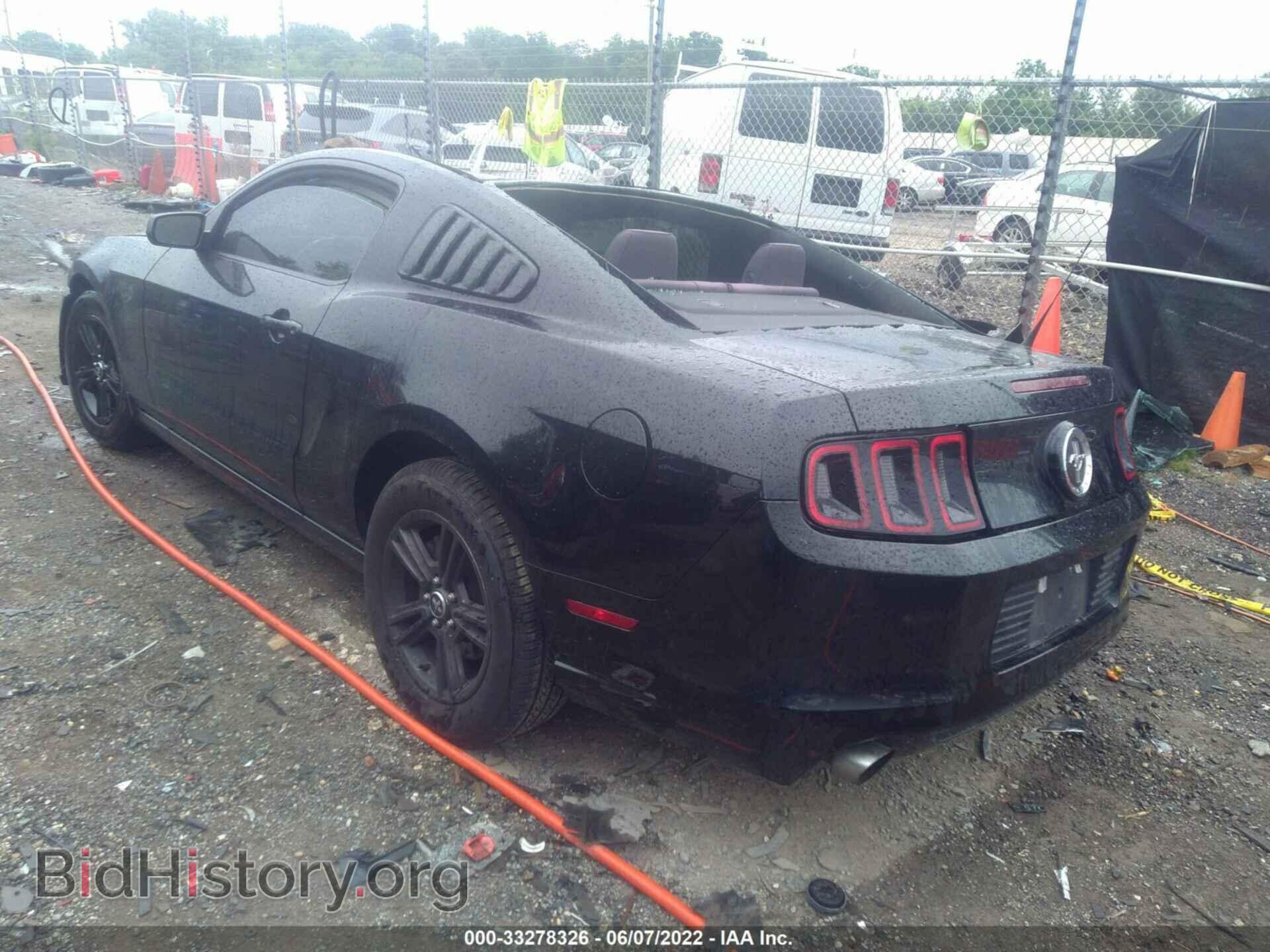 2013 FORD MUSTANG - VIN: 1ZVBP8AM5D5247458 - Фото 3