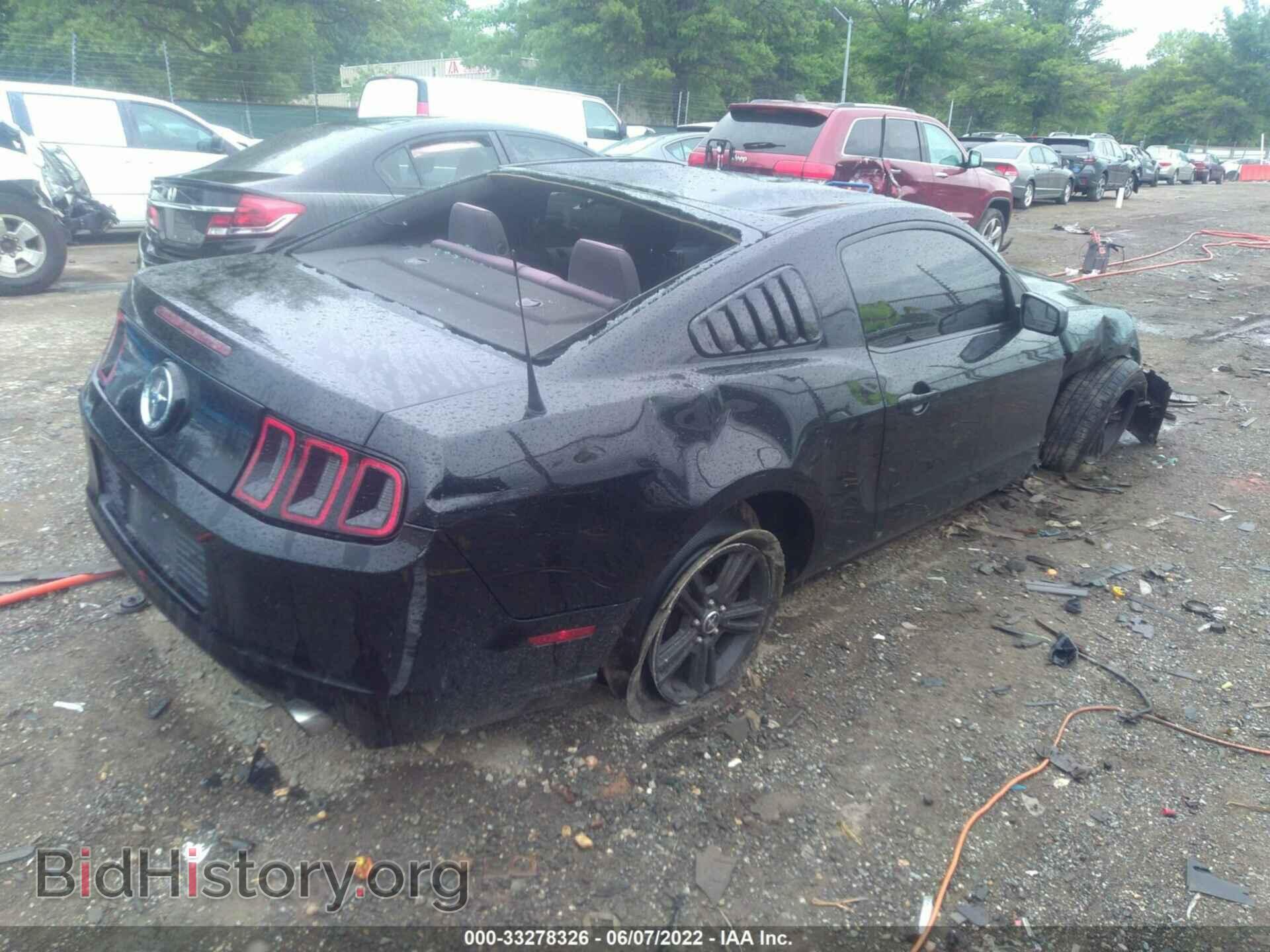 2013 FORD MUSTANG - VIN: 1ZVBP8AM5D5247458 - Фото 4