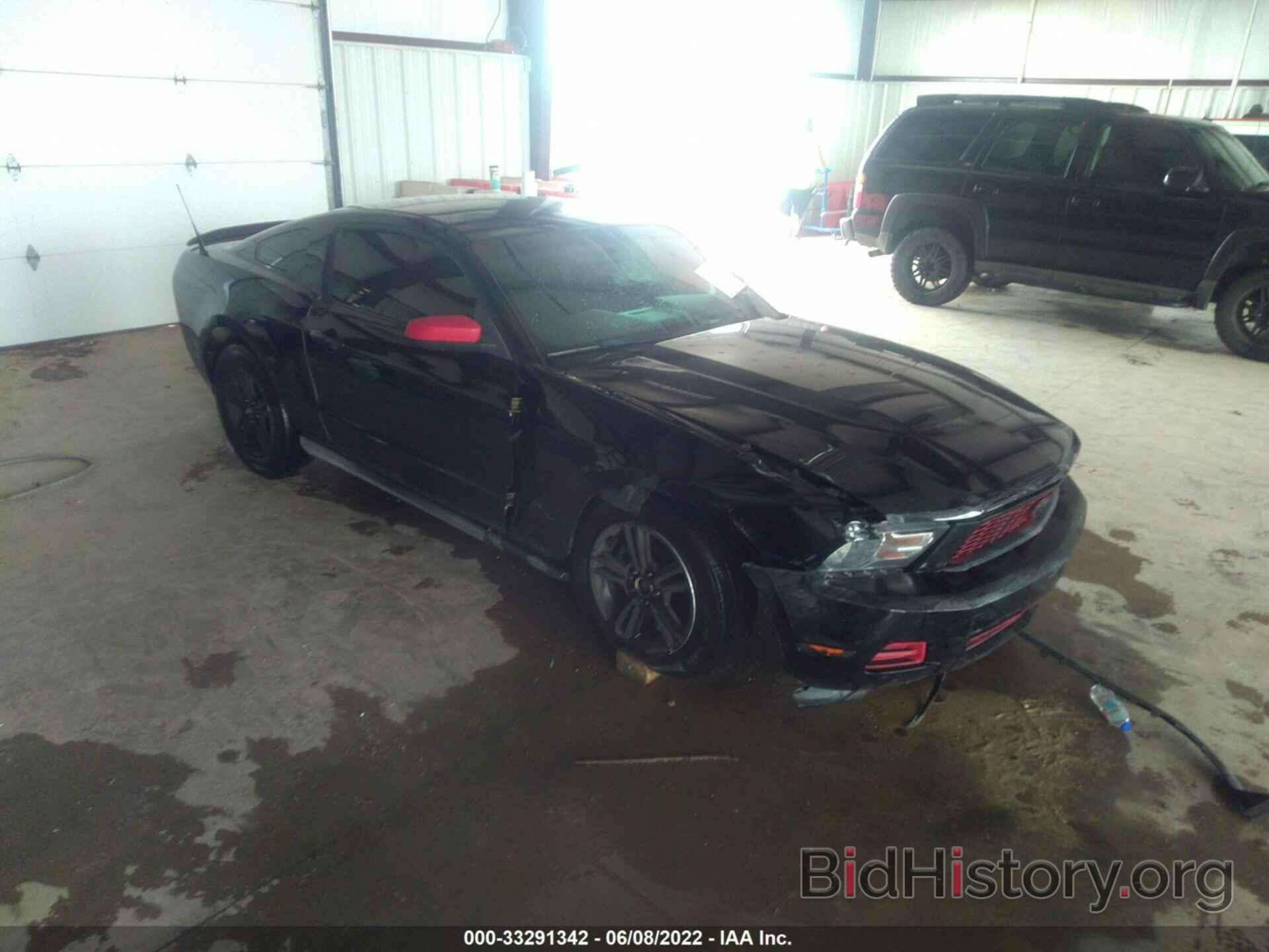 Photo 1ZVBP8AN9A5114092 - FORD MUSTANG 2010