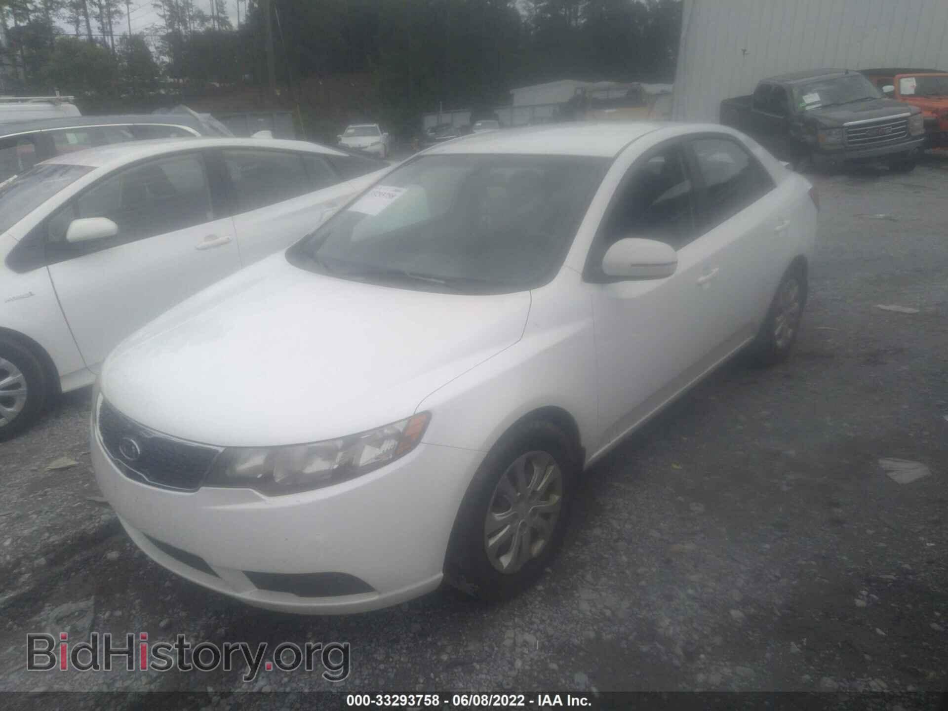 2013 KIA FORTE - VIN: KNAFU4A29D5718593 - Фото 2